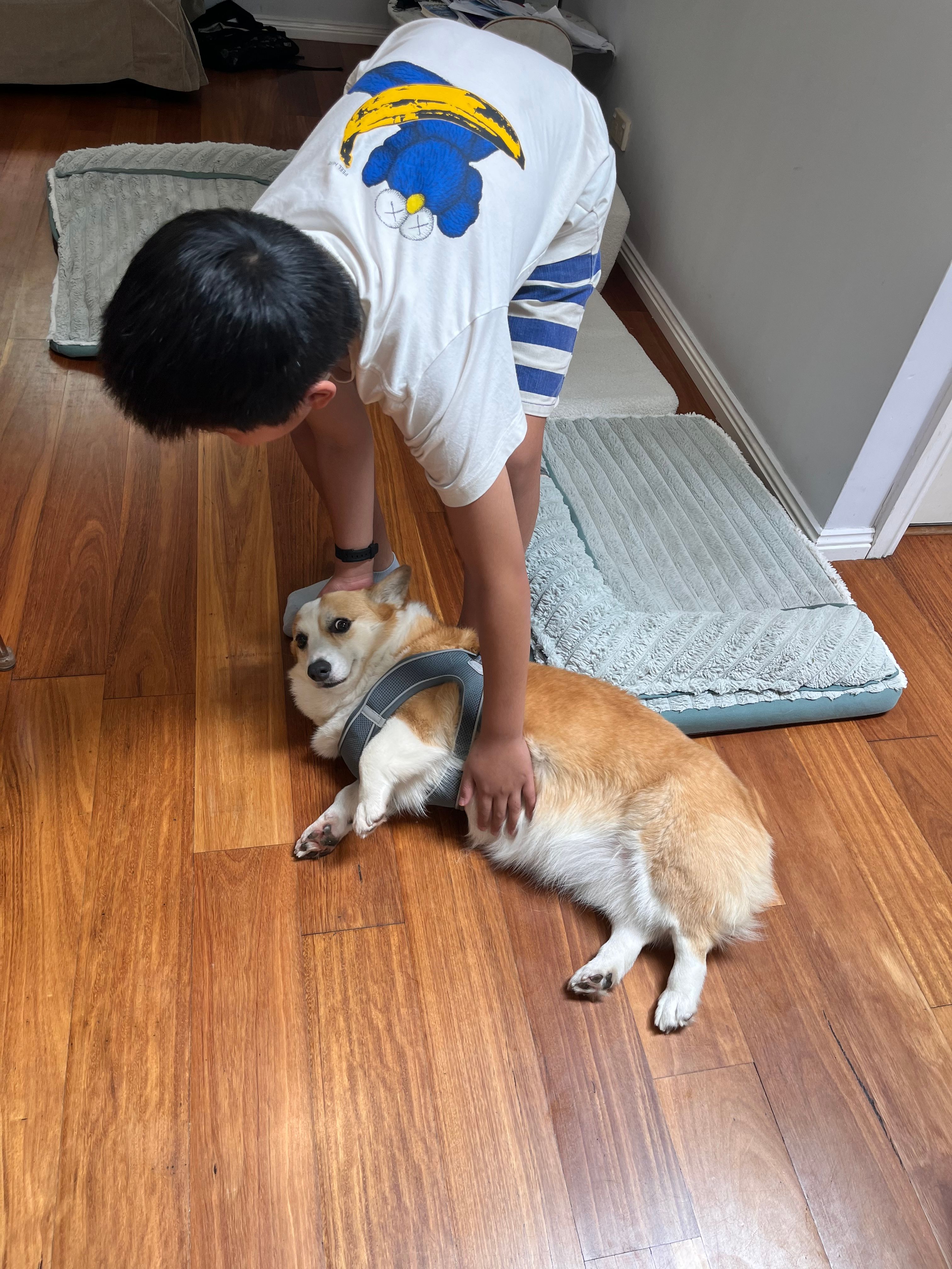 image-16