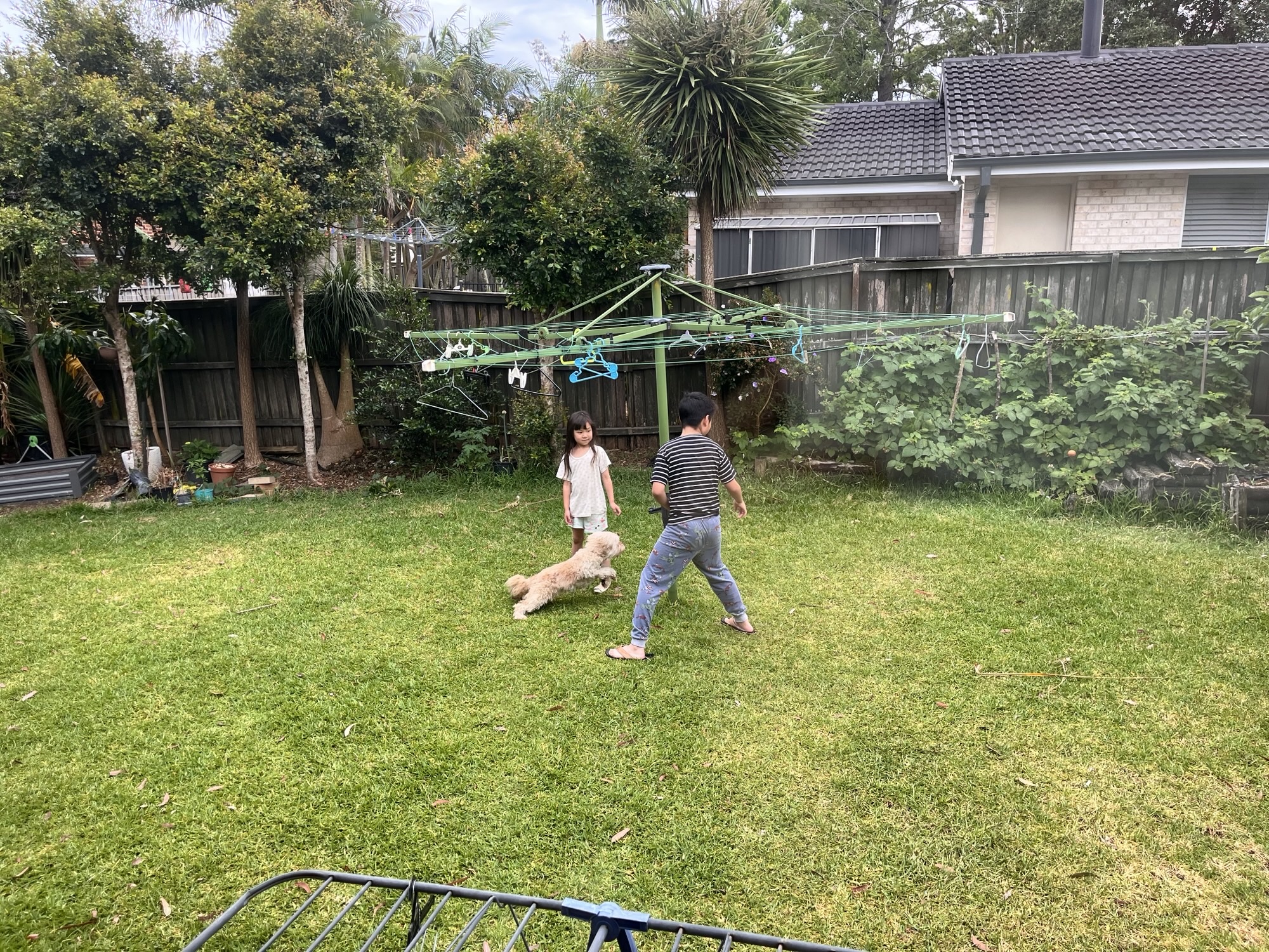 image-24