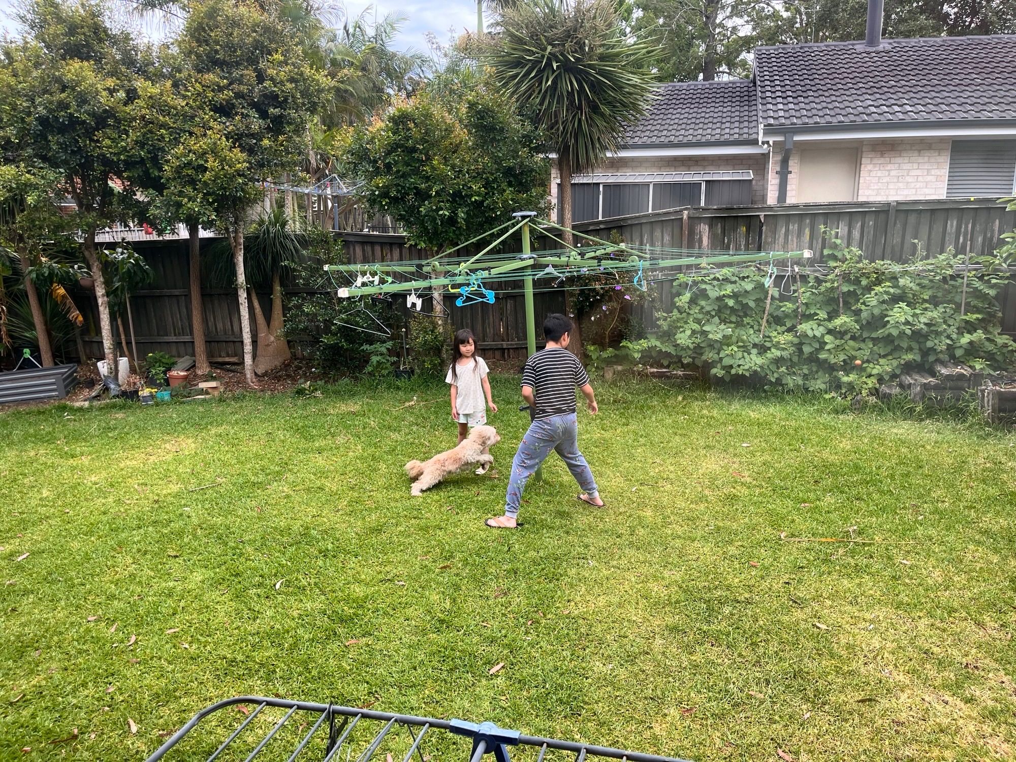image-24