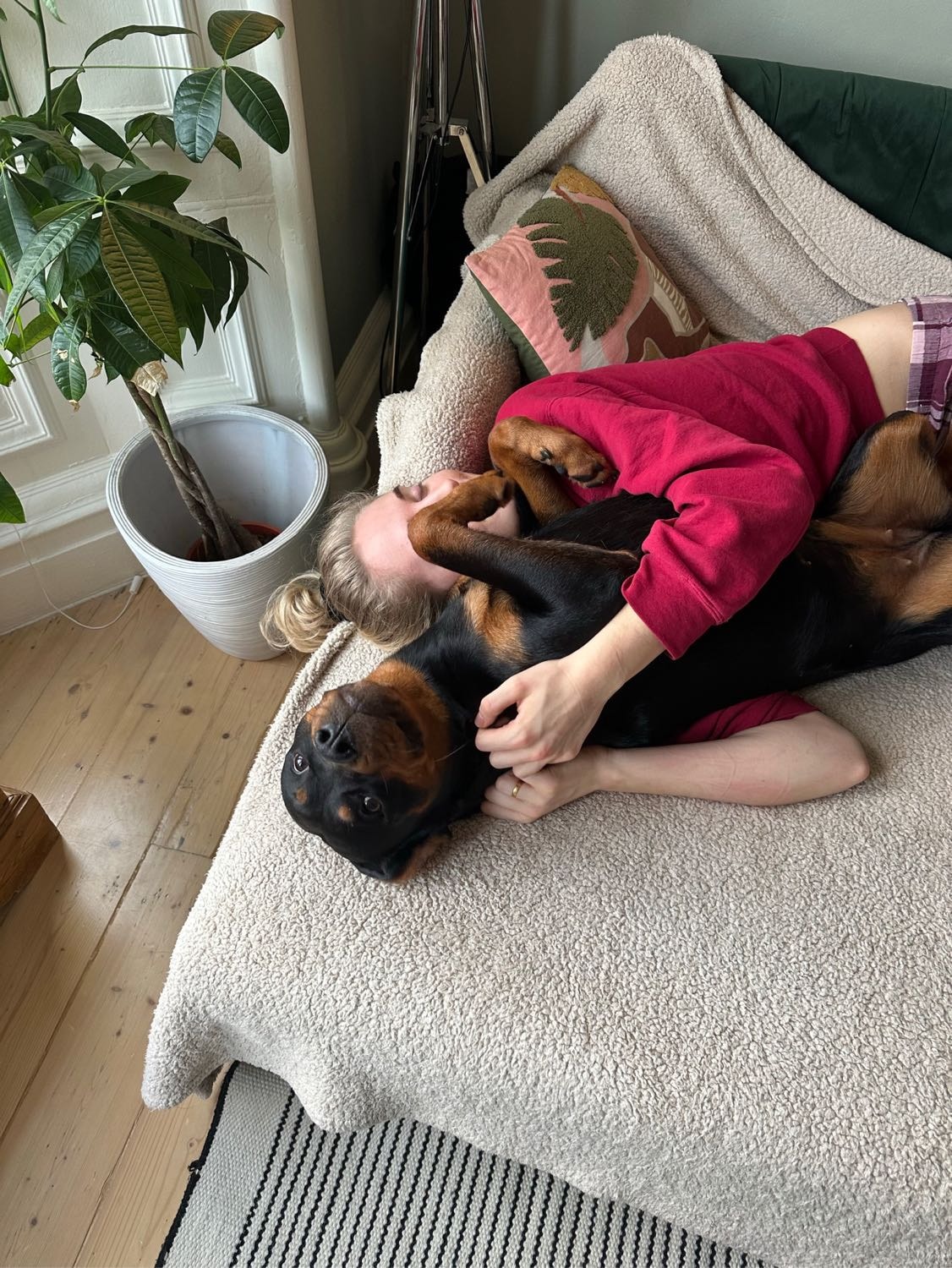 image-7