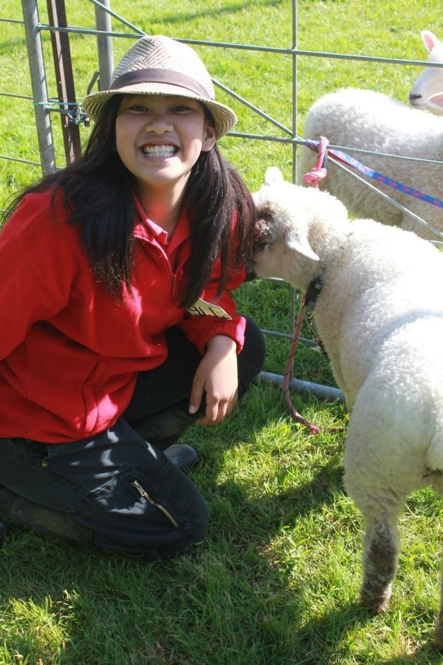image-2