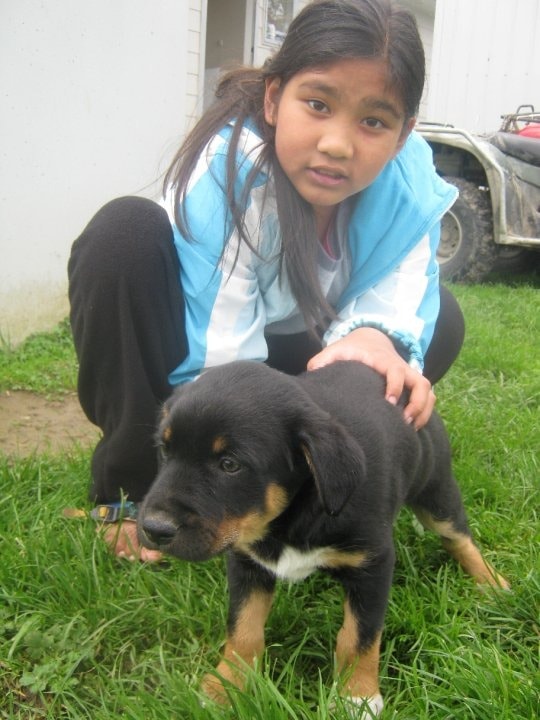 image-5