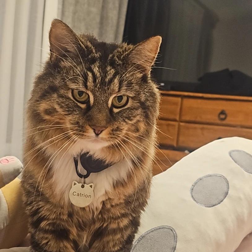 Catrion(MingMing)