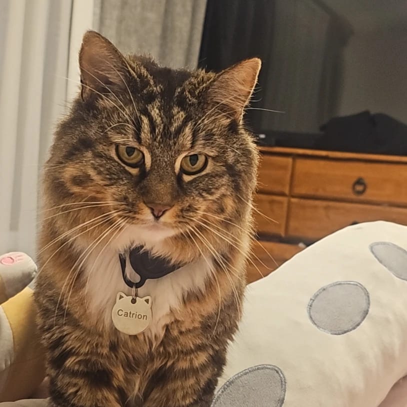 Catrion(MingMing)