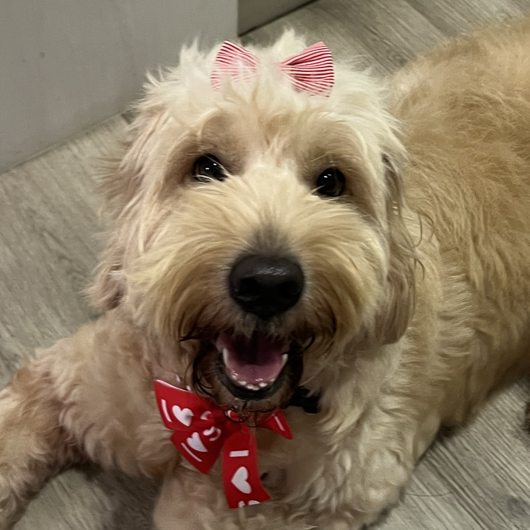 Yuki
