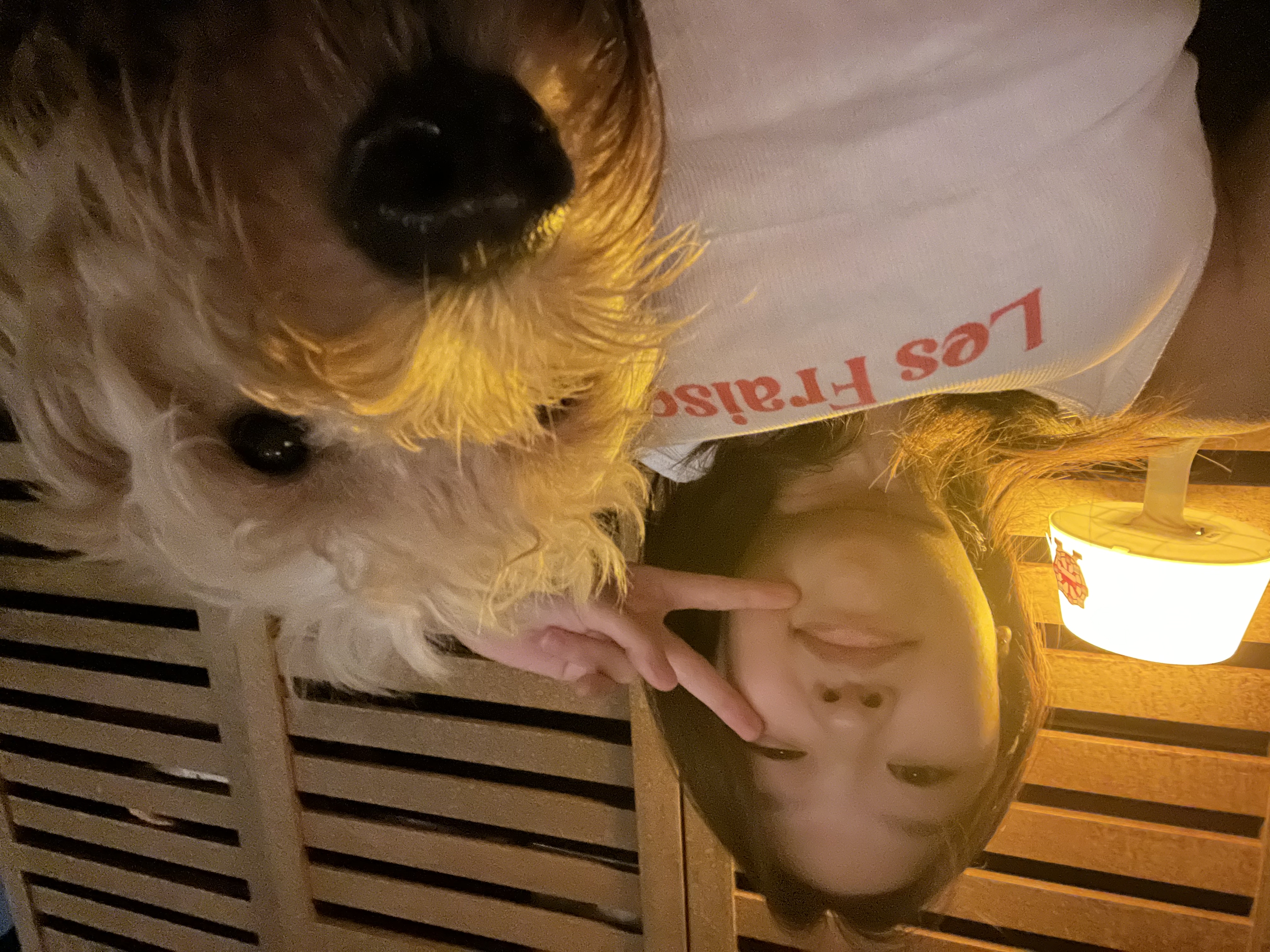 image-5