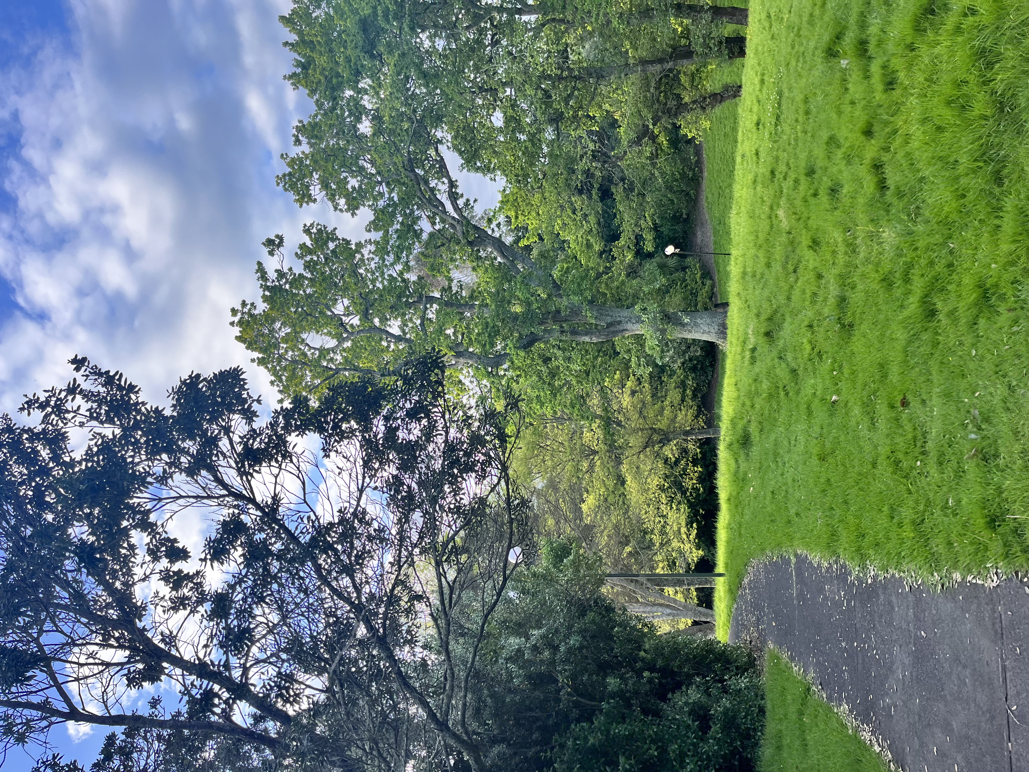 image-24