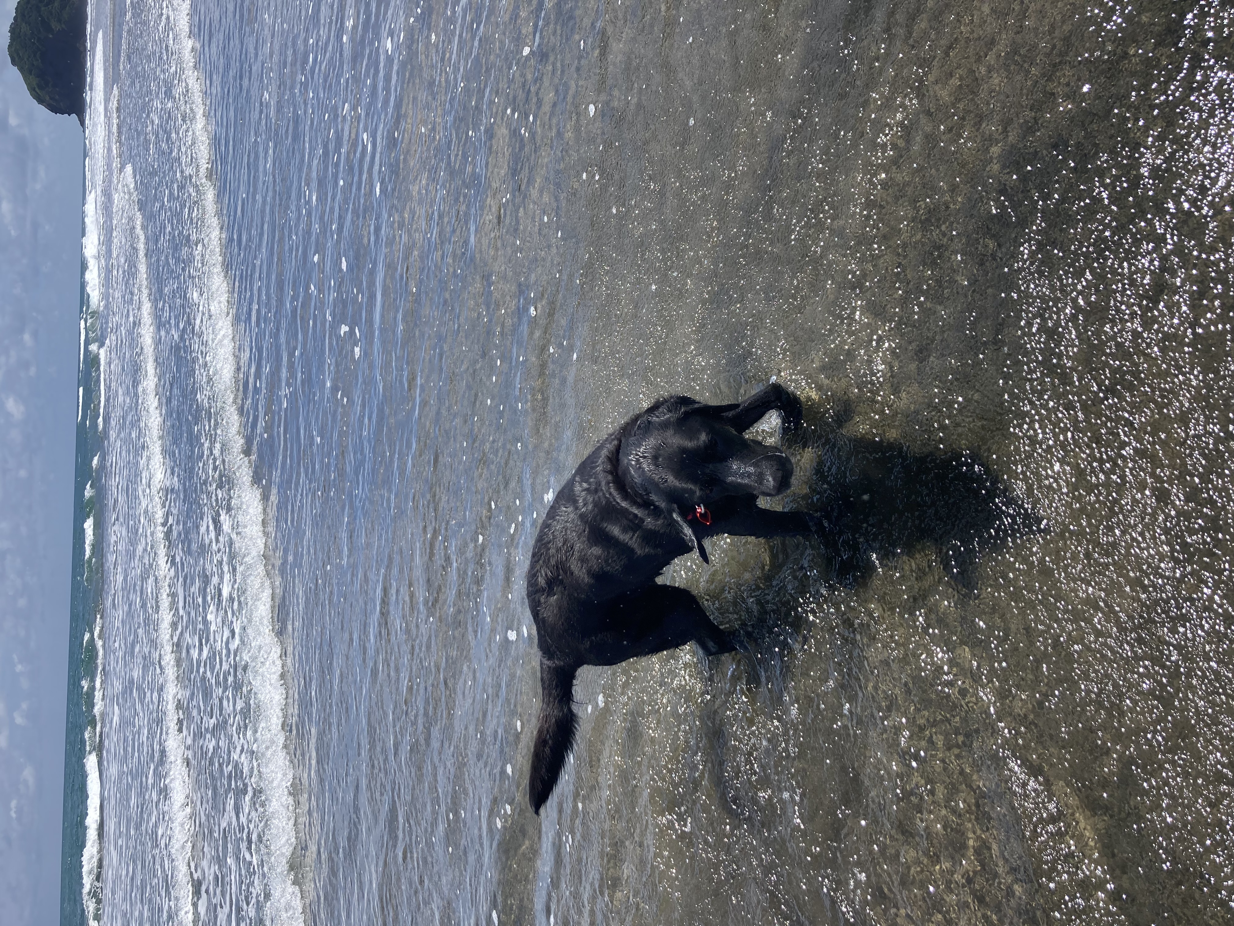 image-10