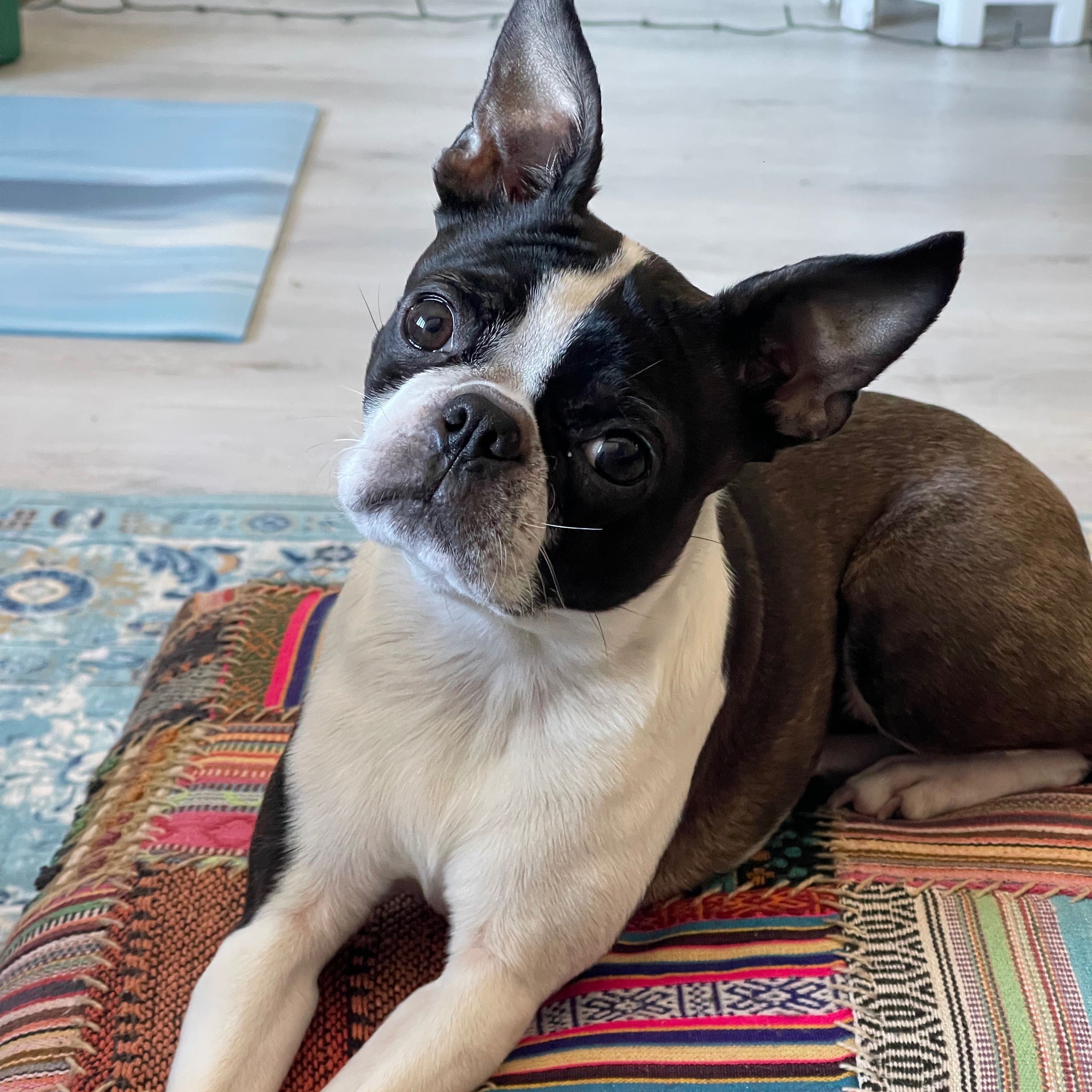 Penny