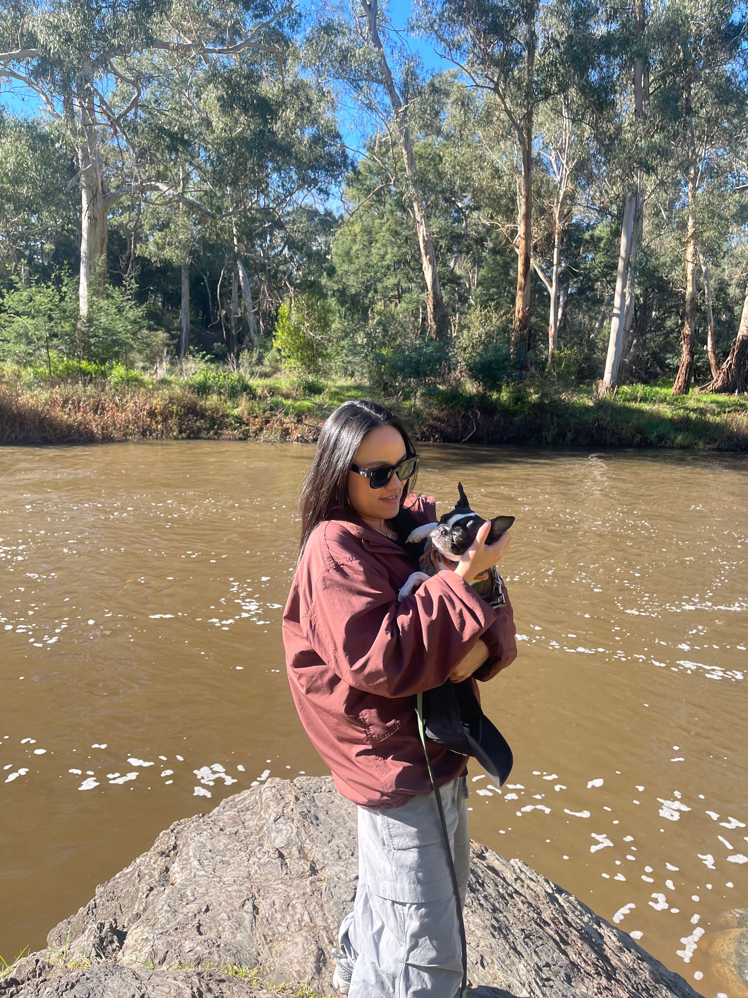 image-5