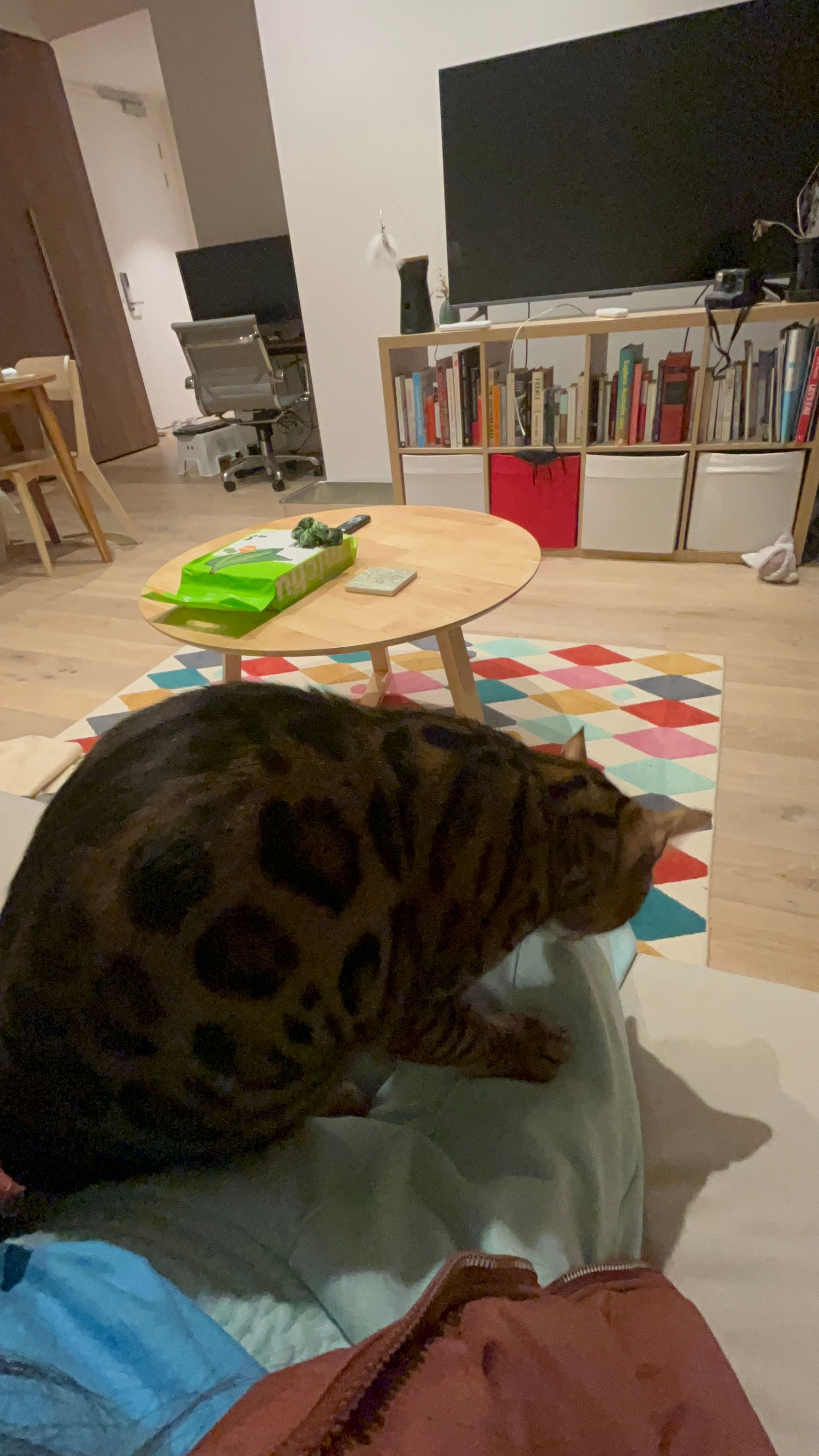 image-12