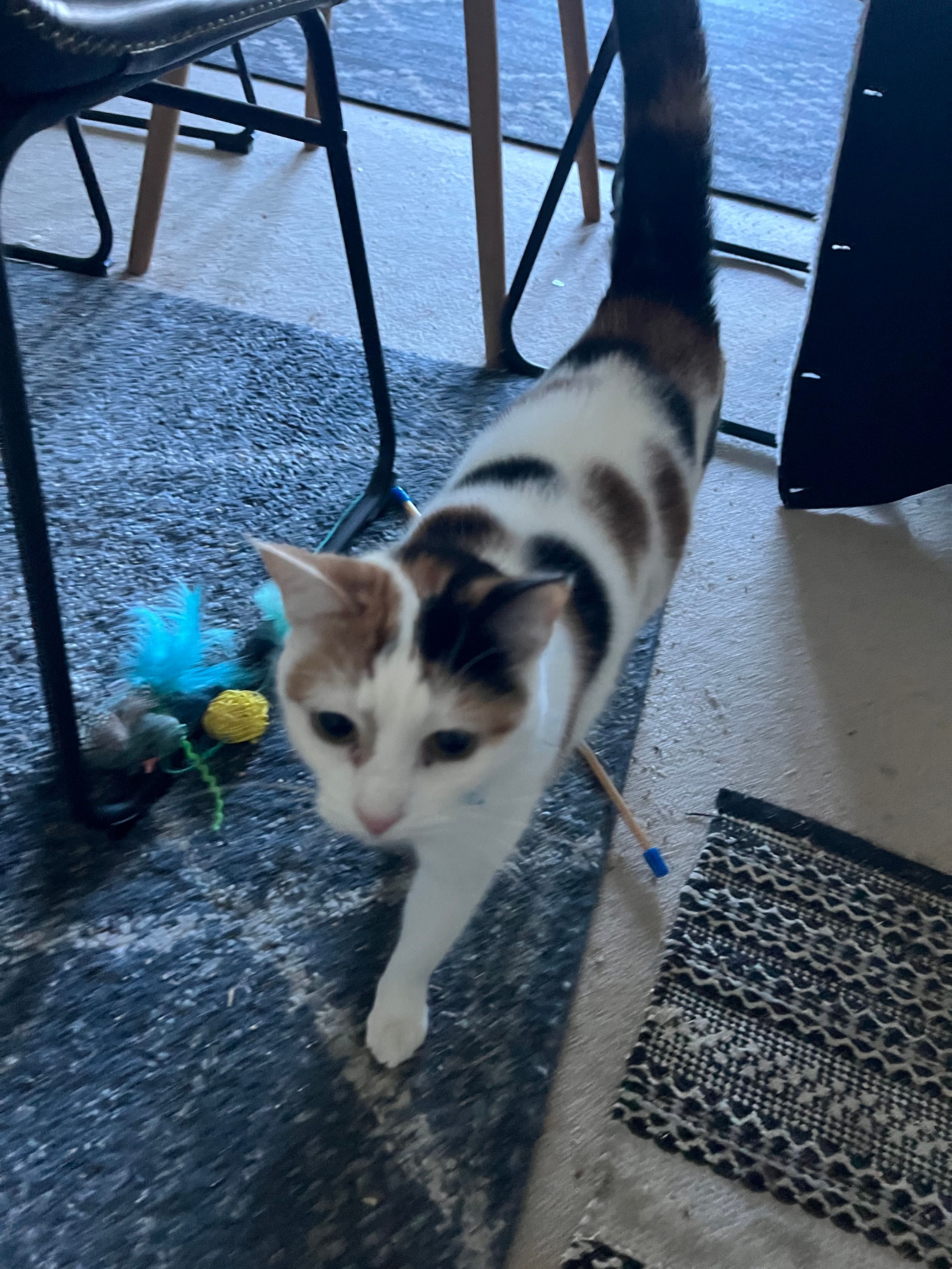 image-10