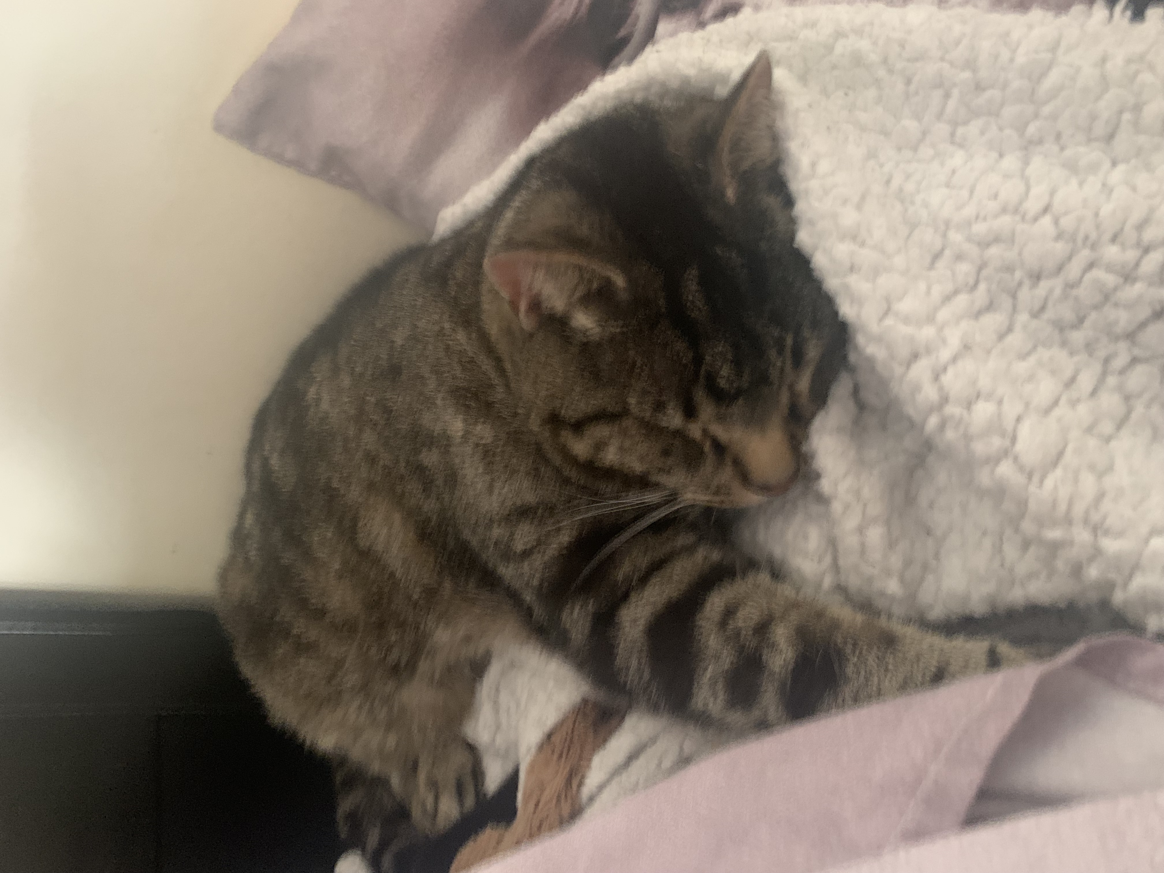 image-6
