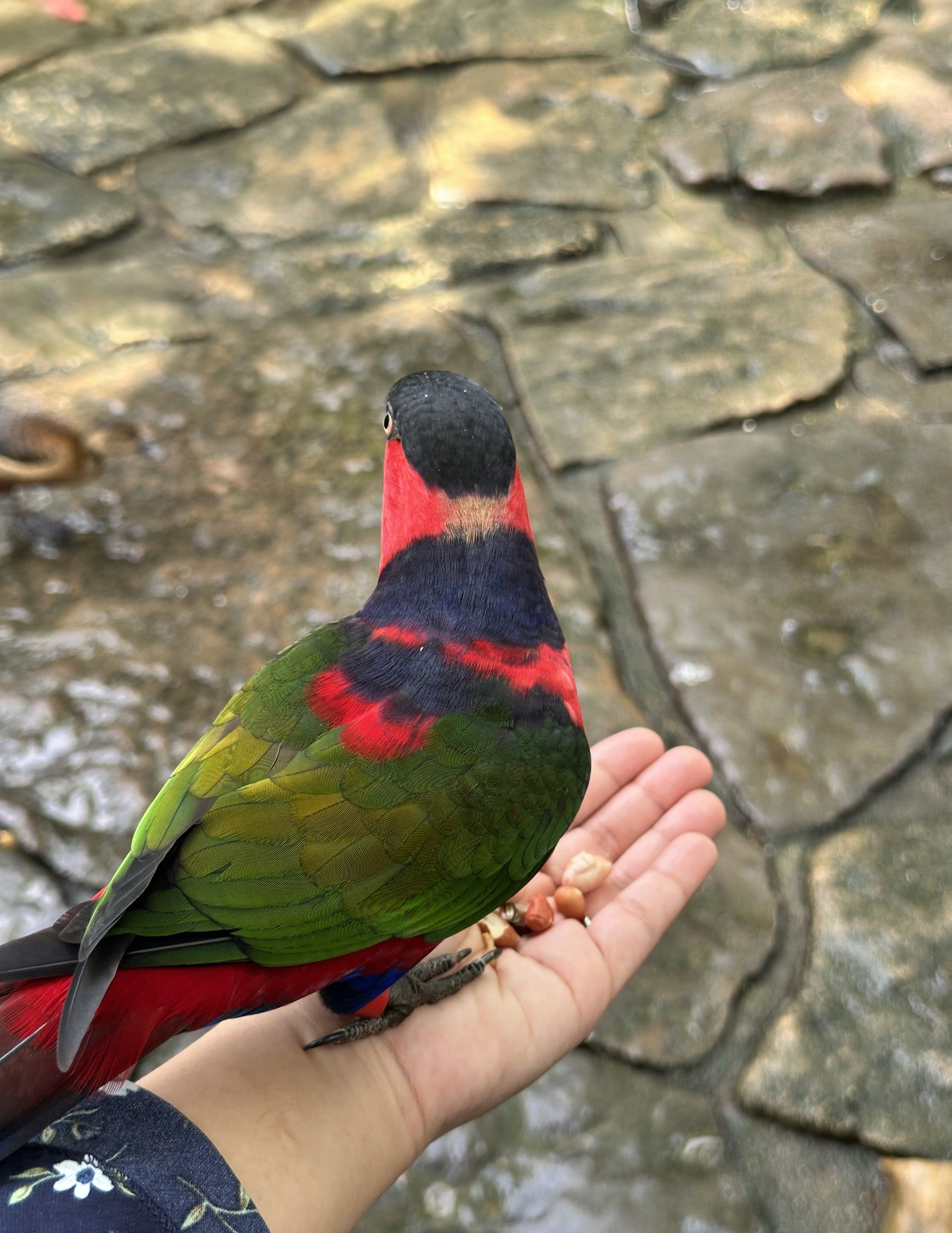 image-9