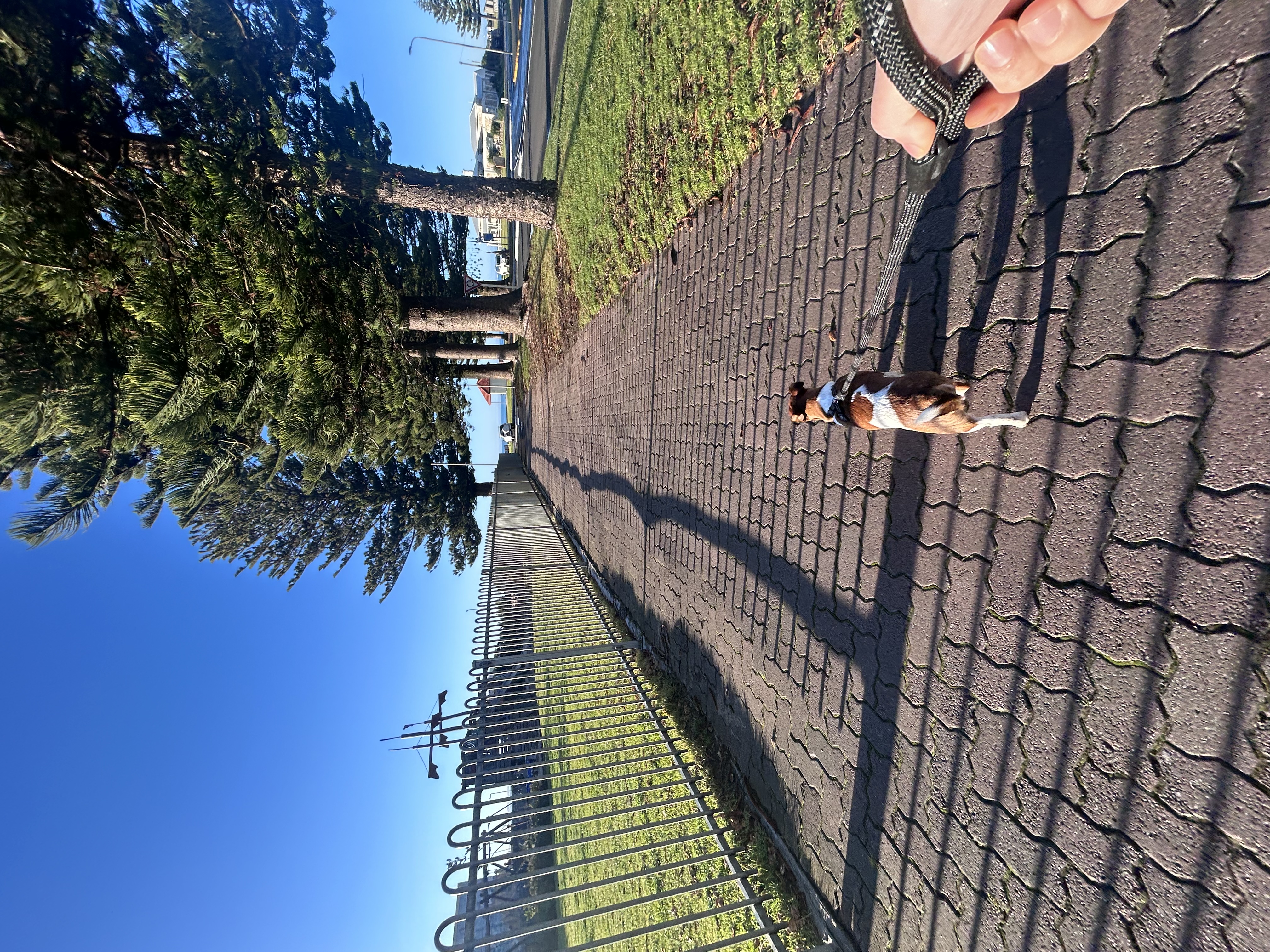 image-7