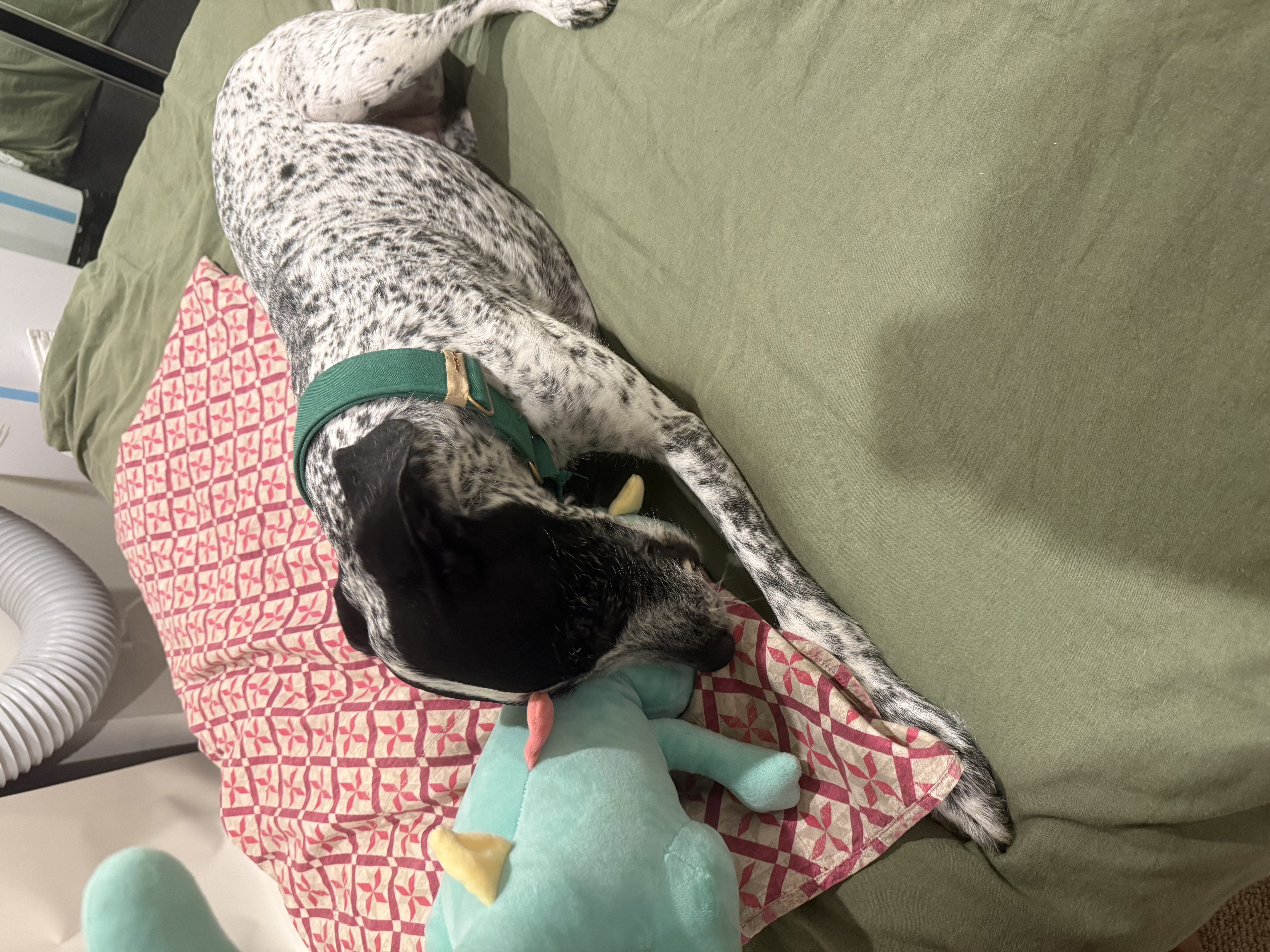 image-15
