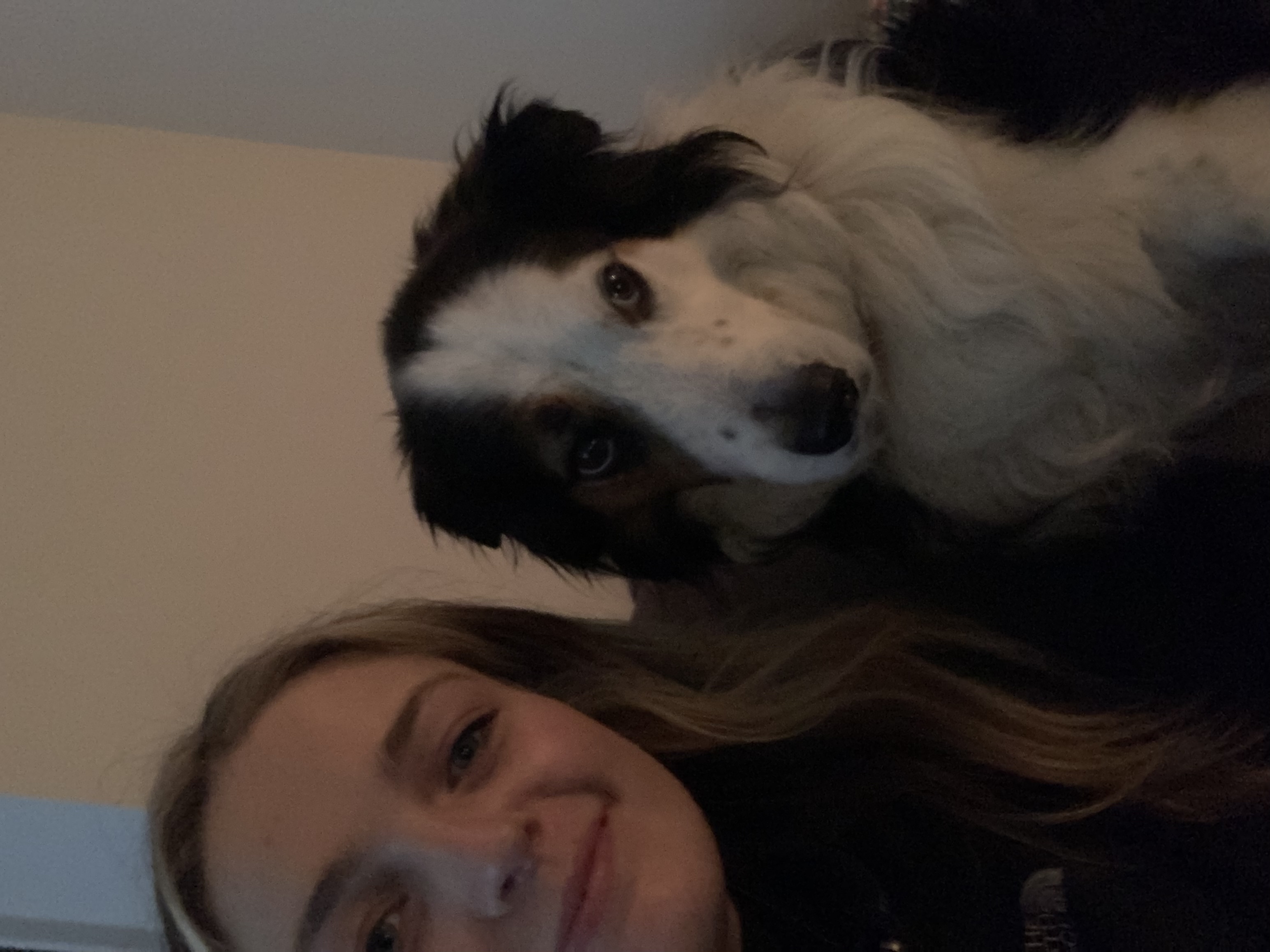 image-7