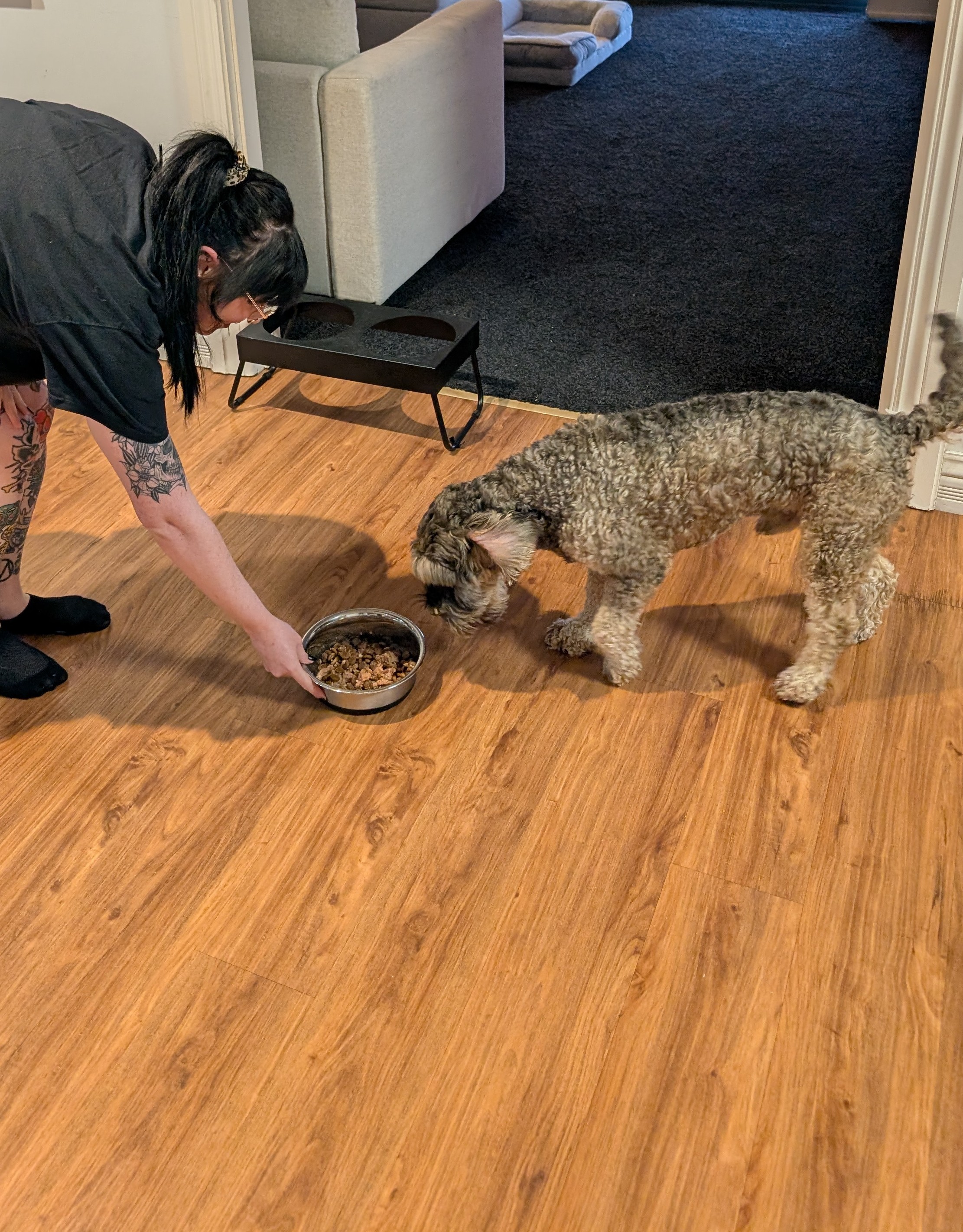 image-12