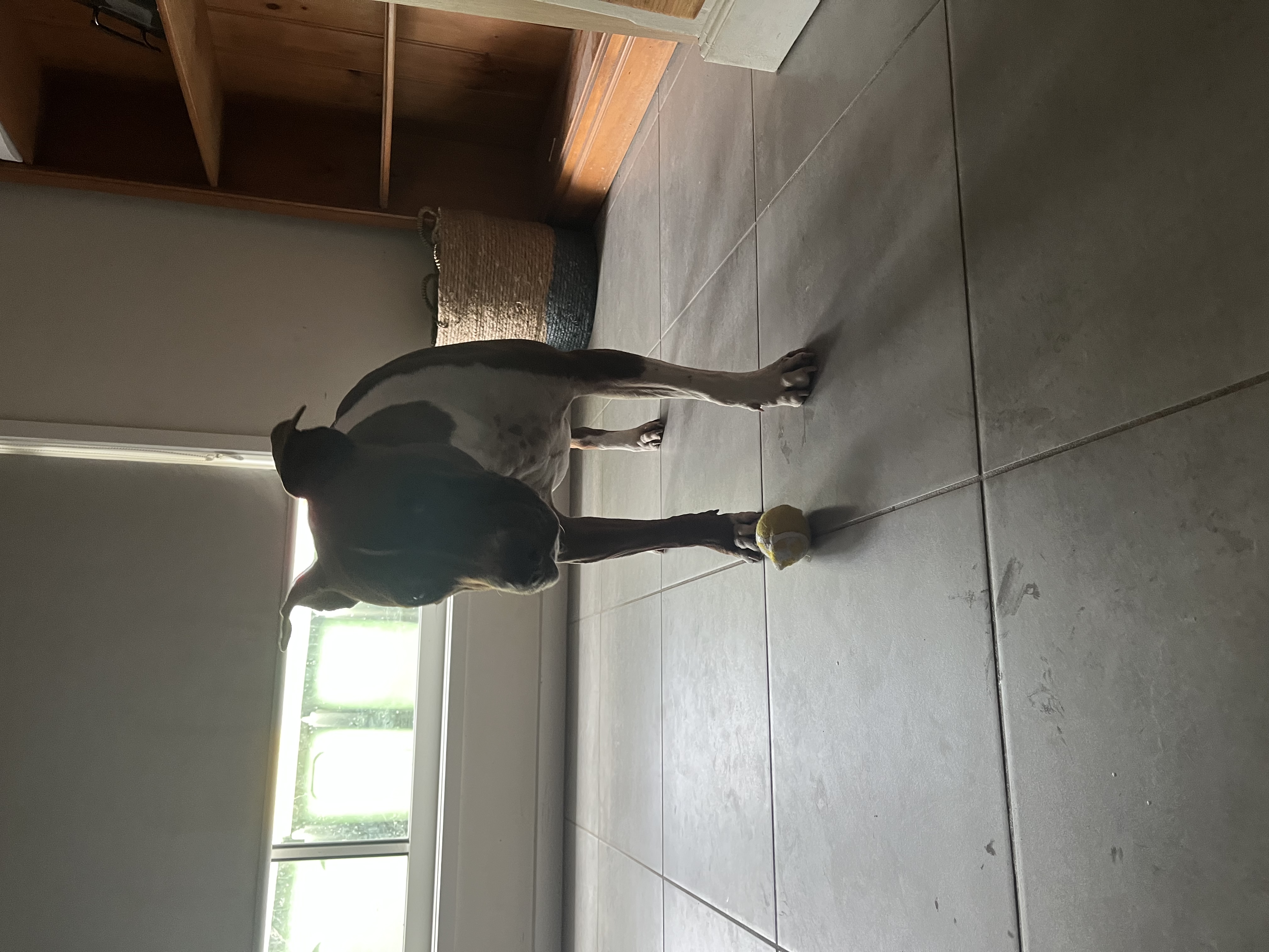 image-17