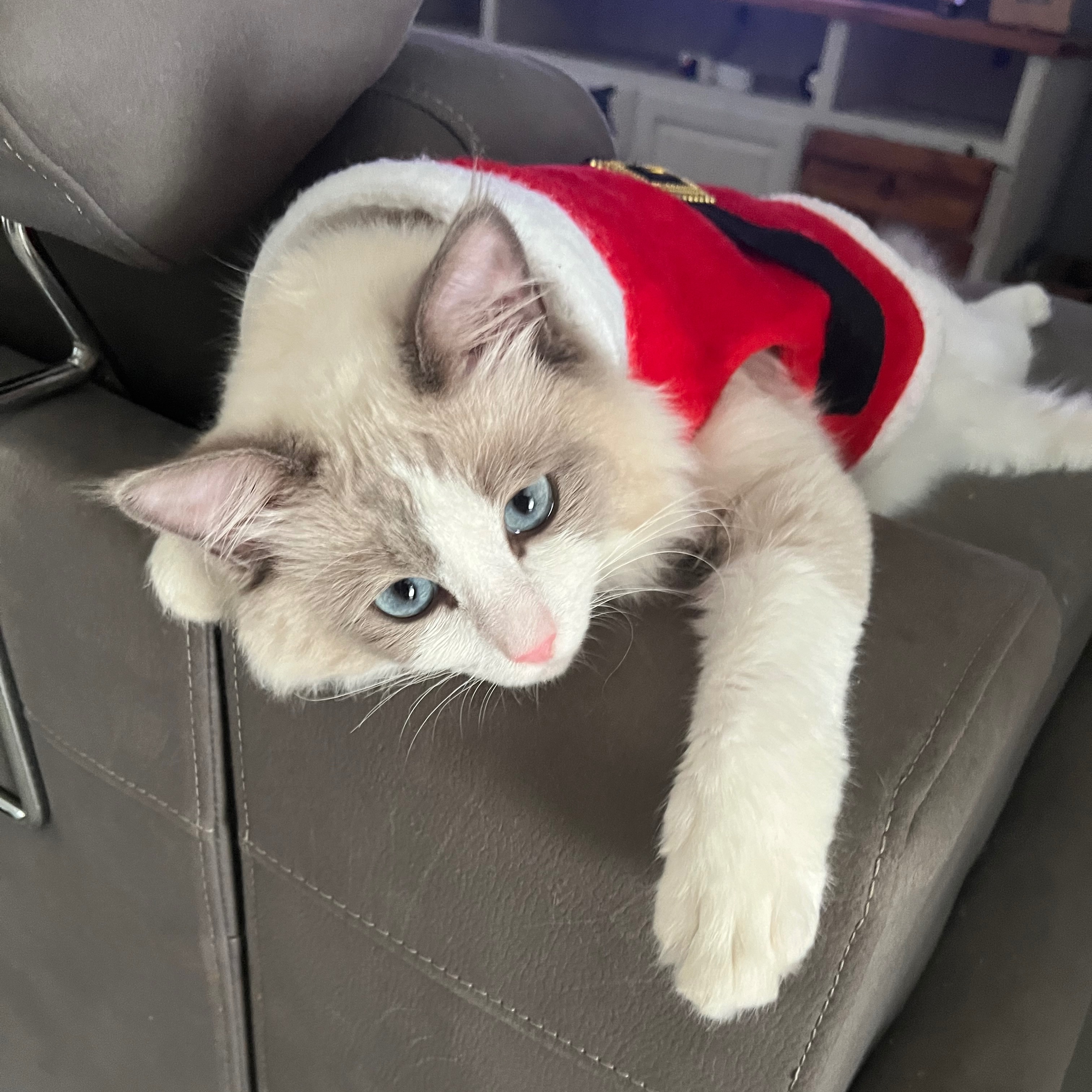 Prince
