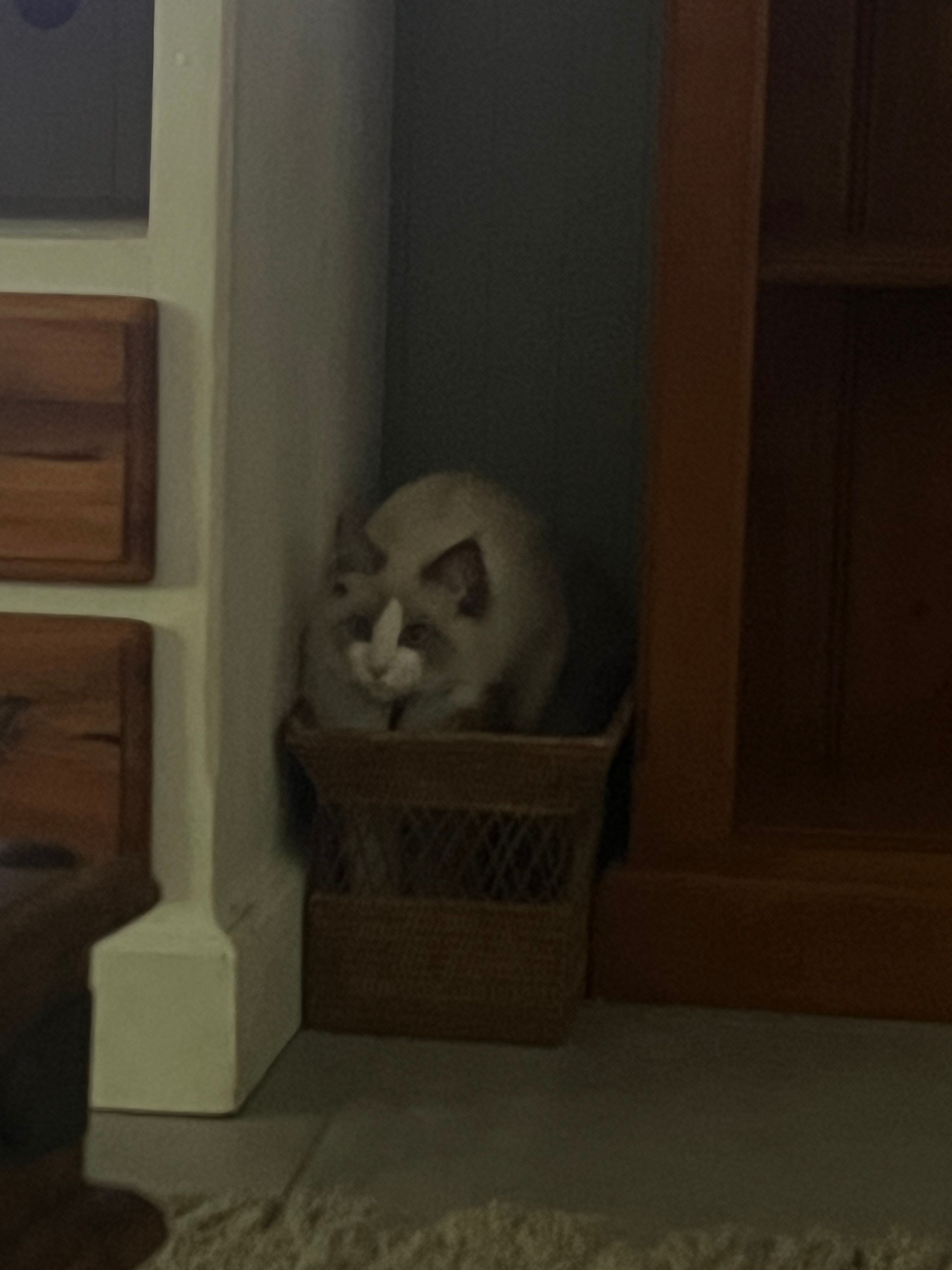 image-18