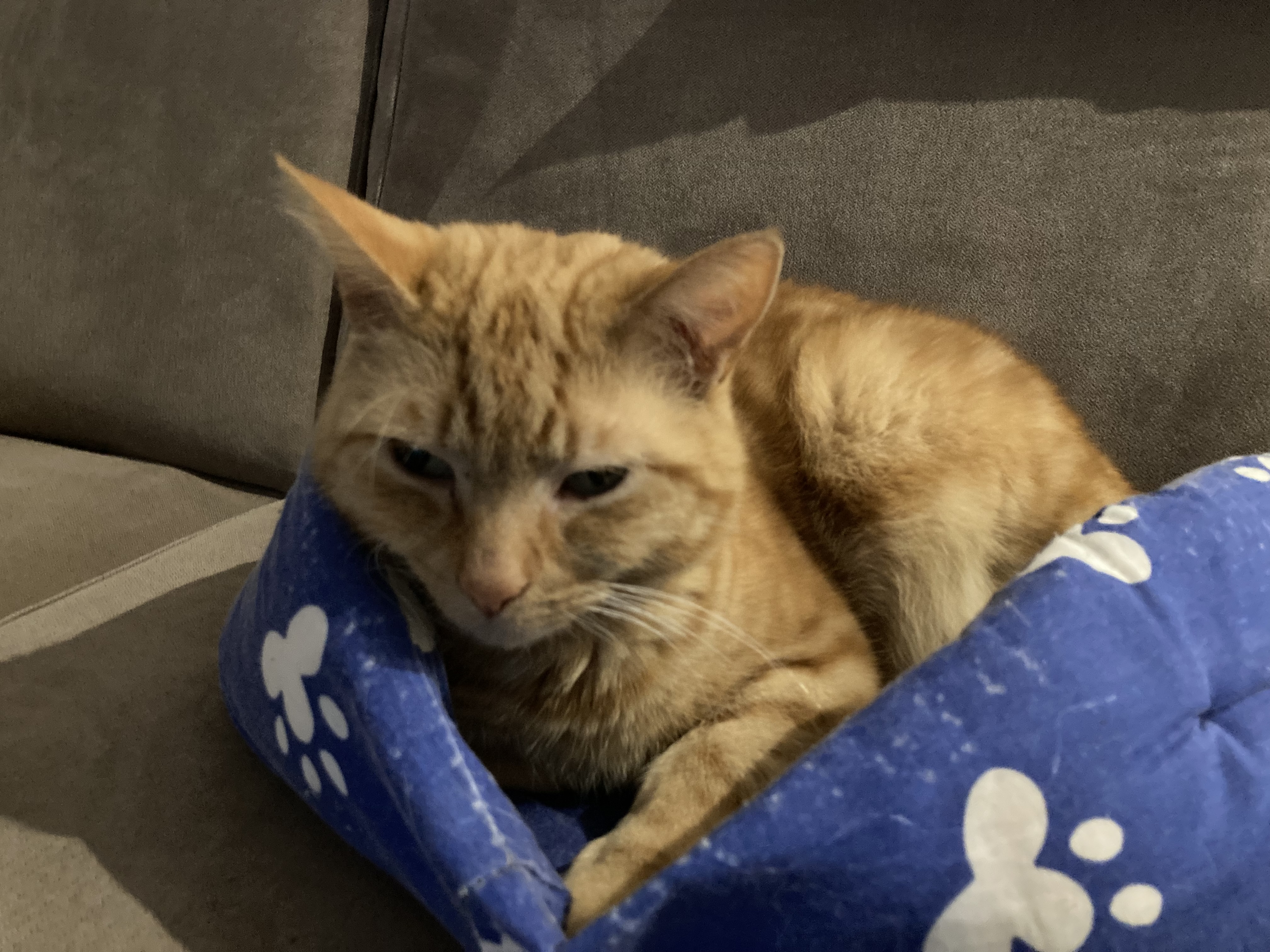 image-6