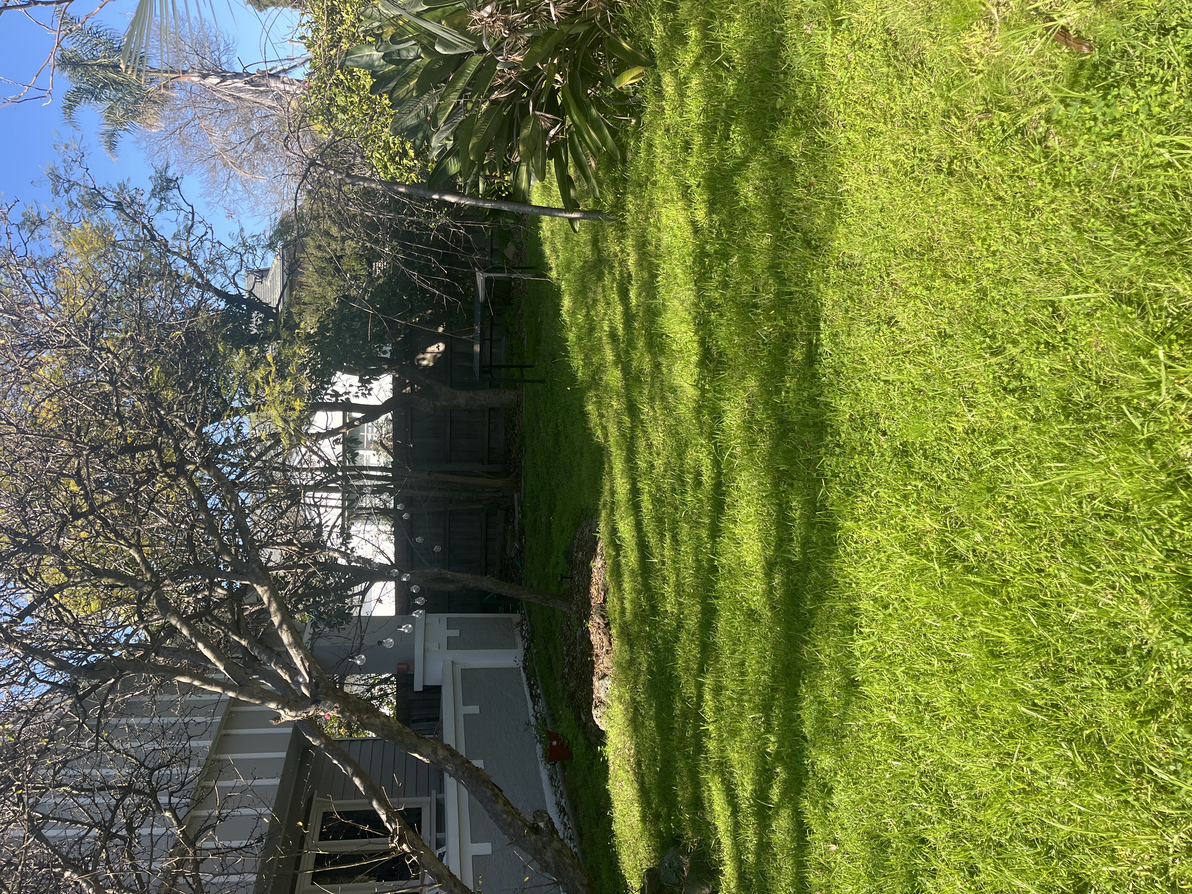 image-17