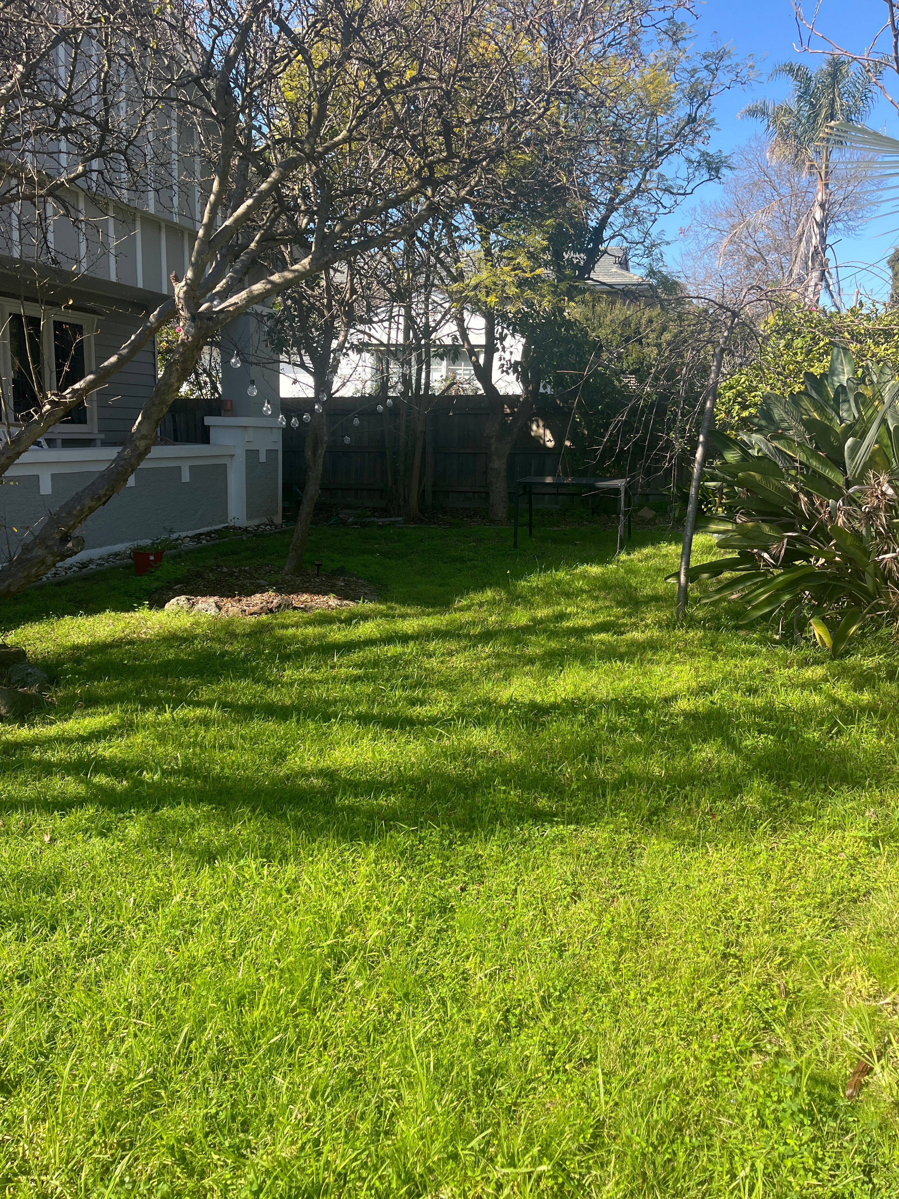 image-17
