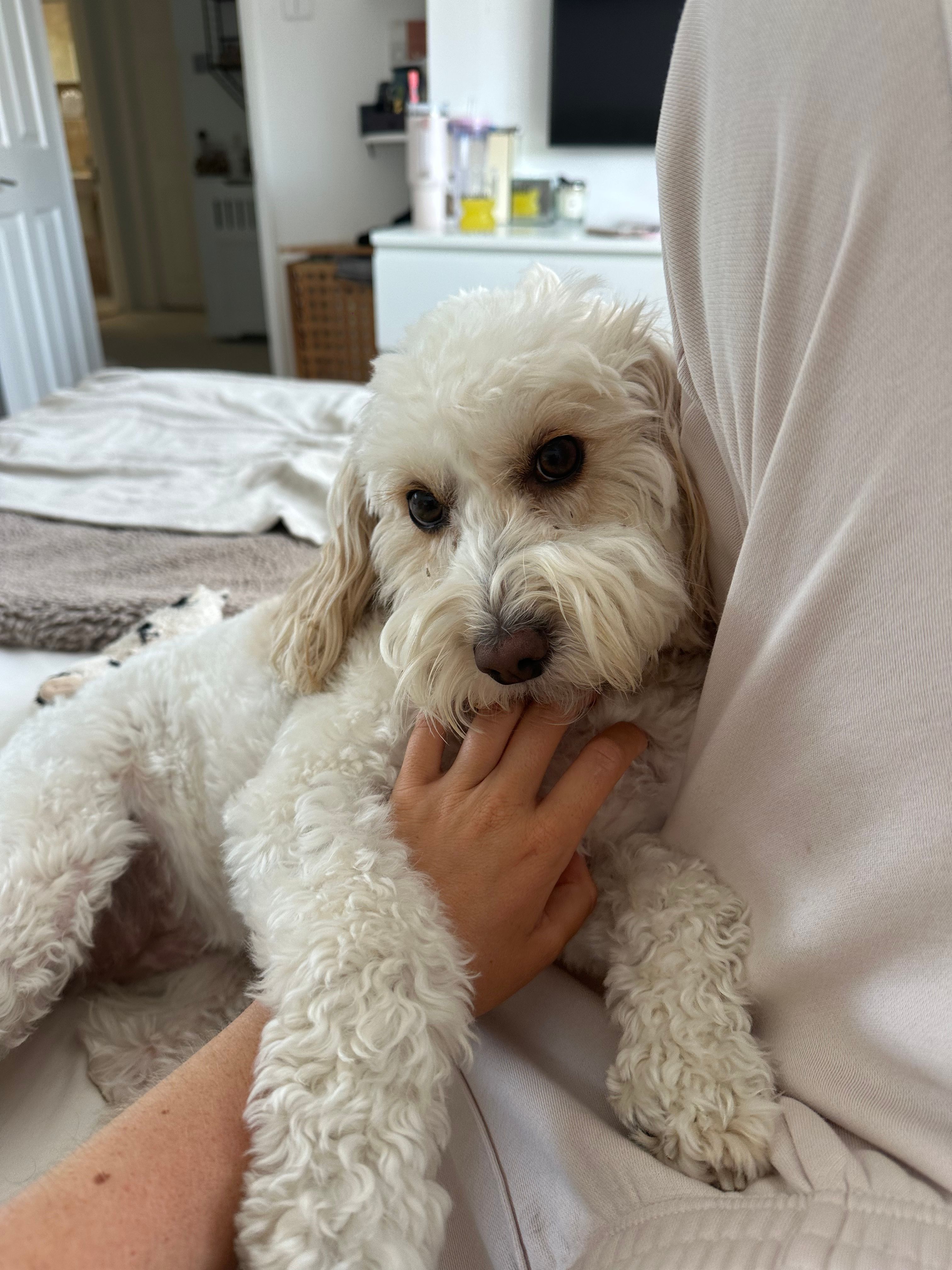 image-6
