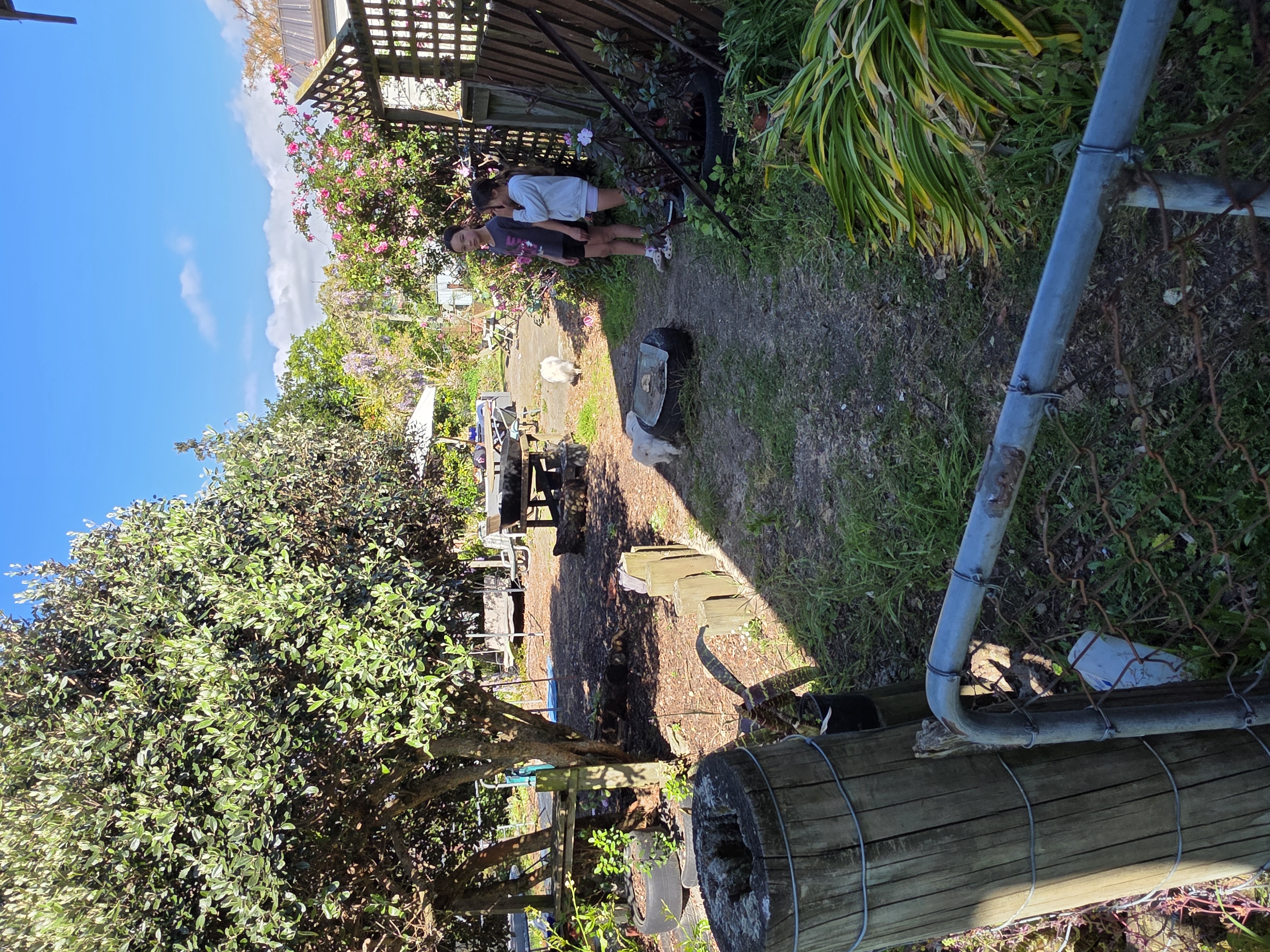image-17