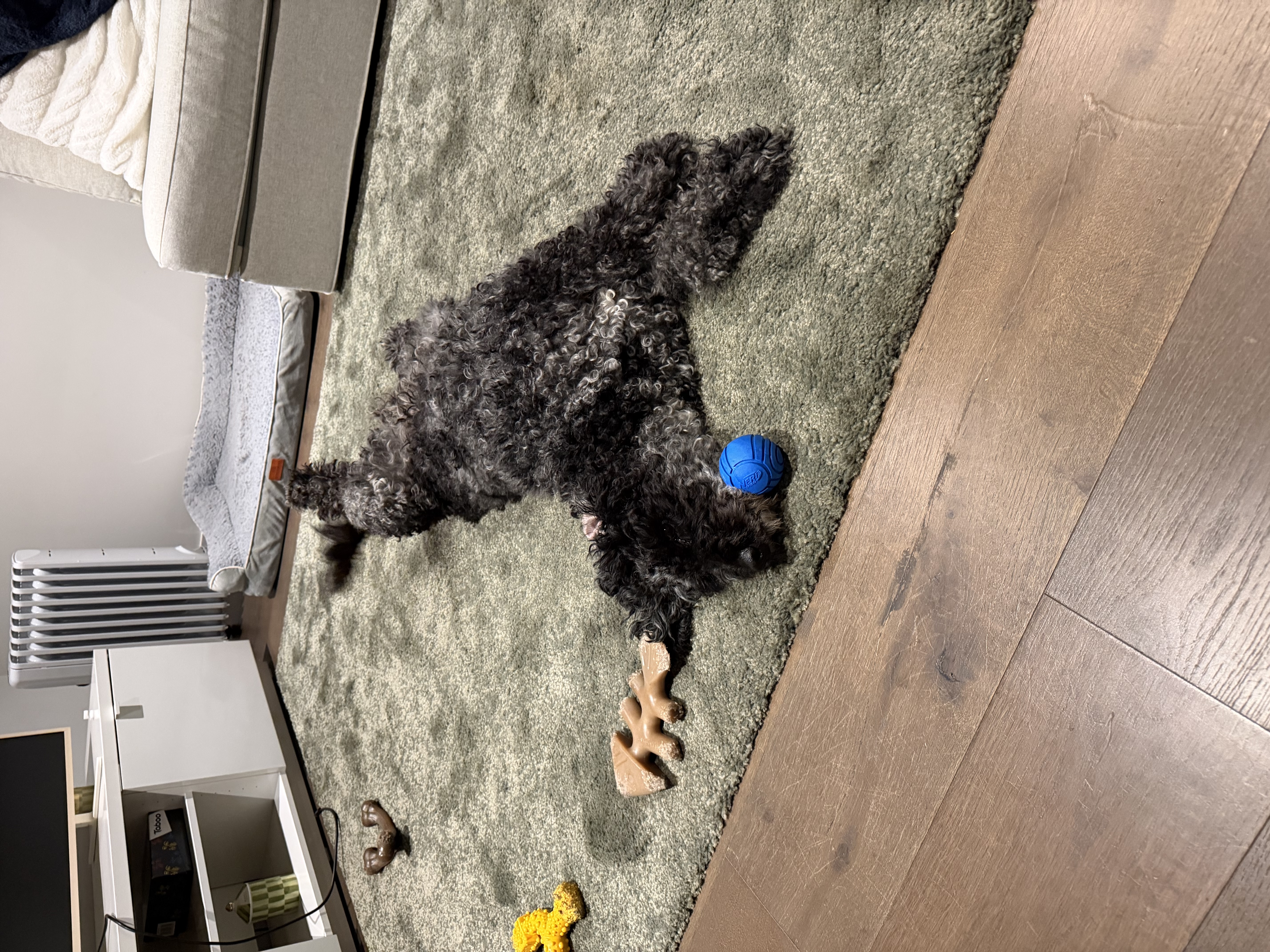 image-12