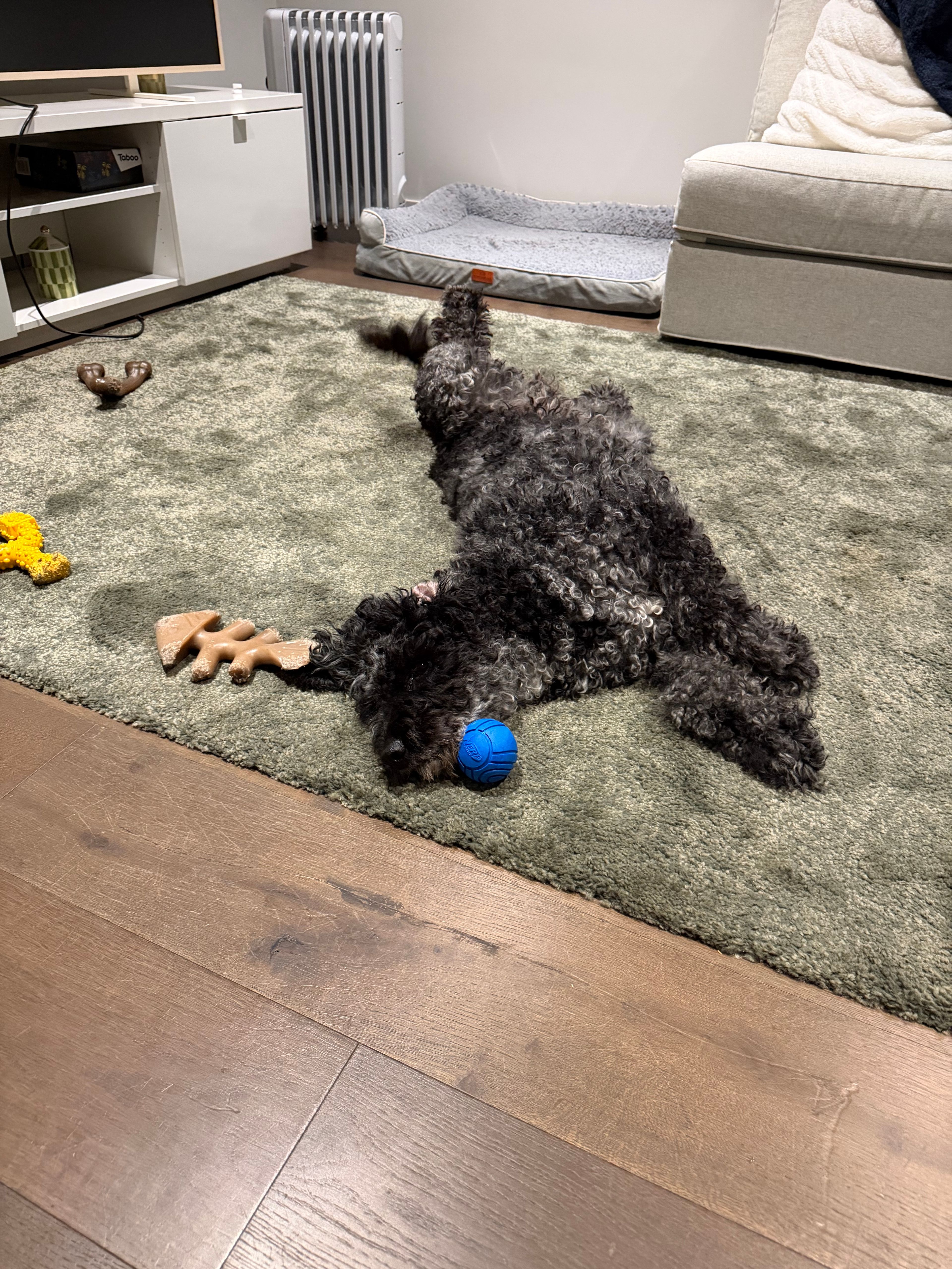 image-12
