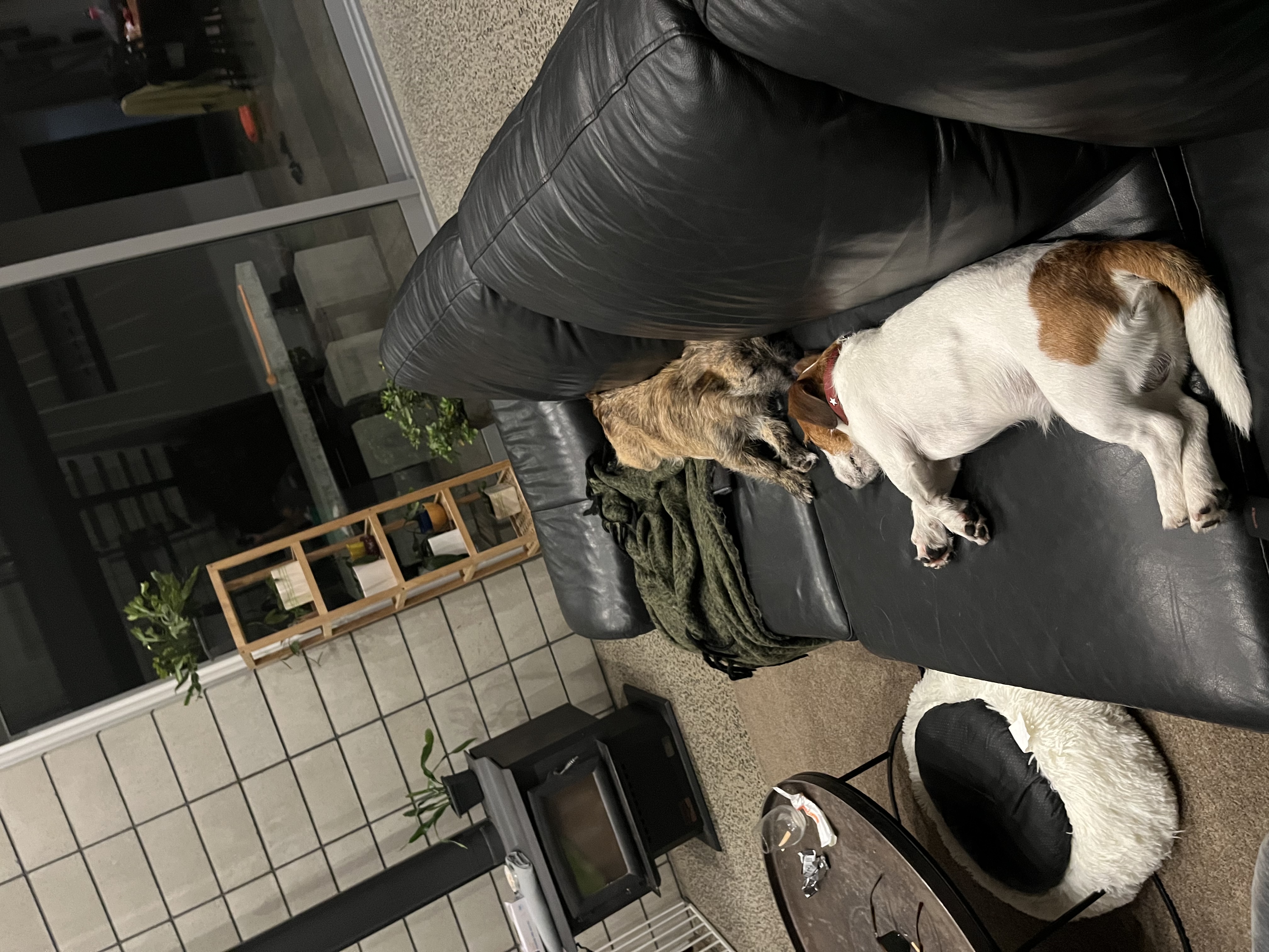 image-9
