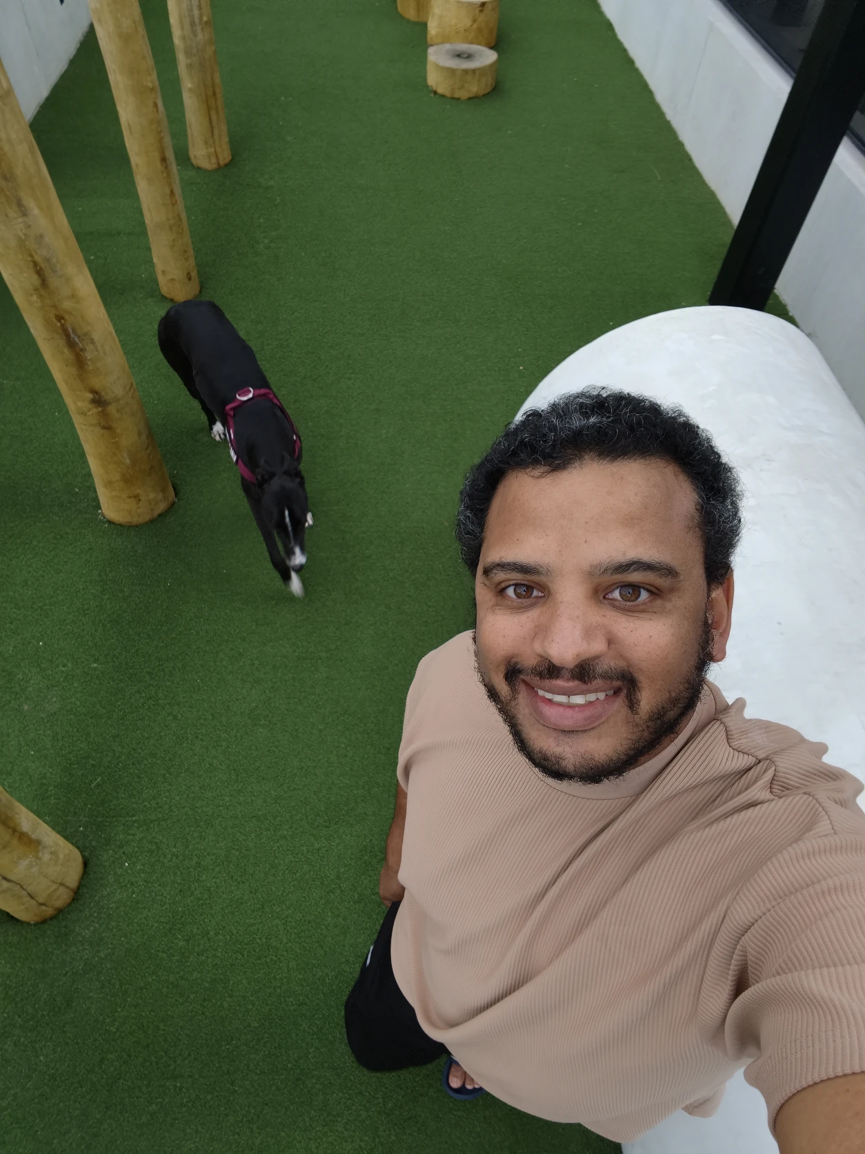image-8