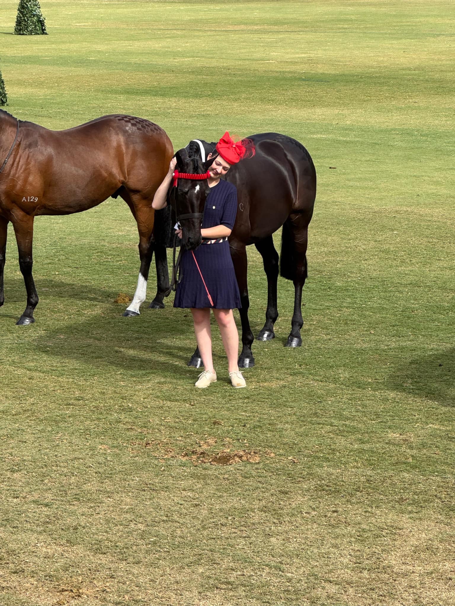 image-0