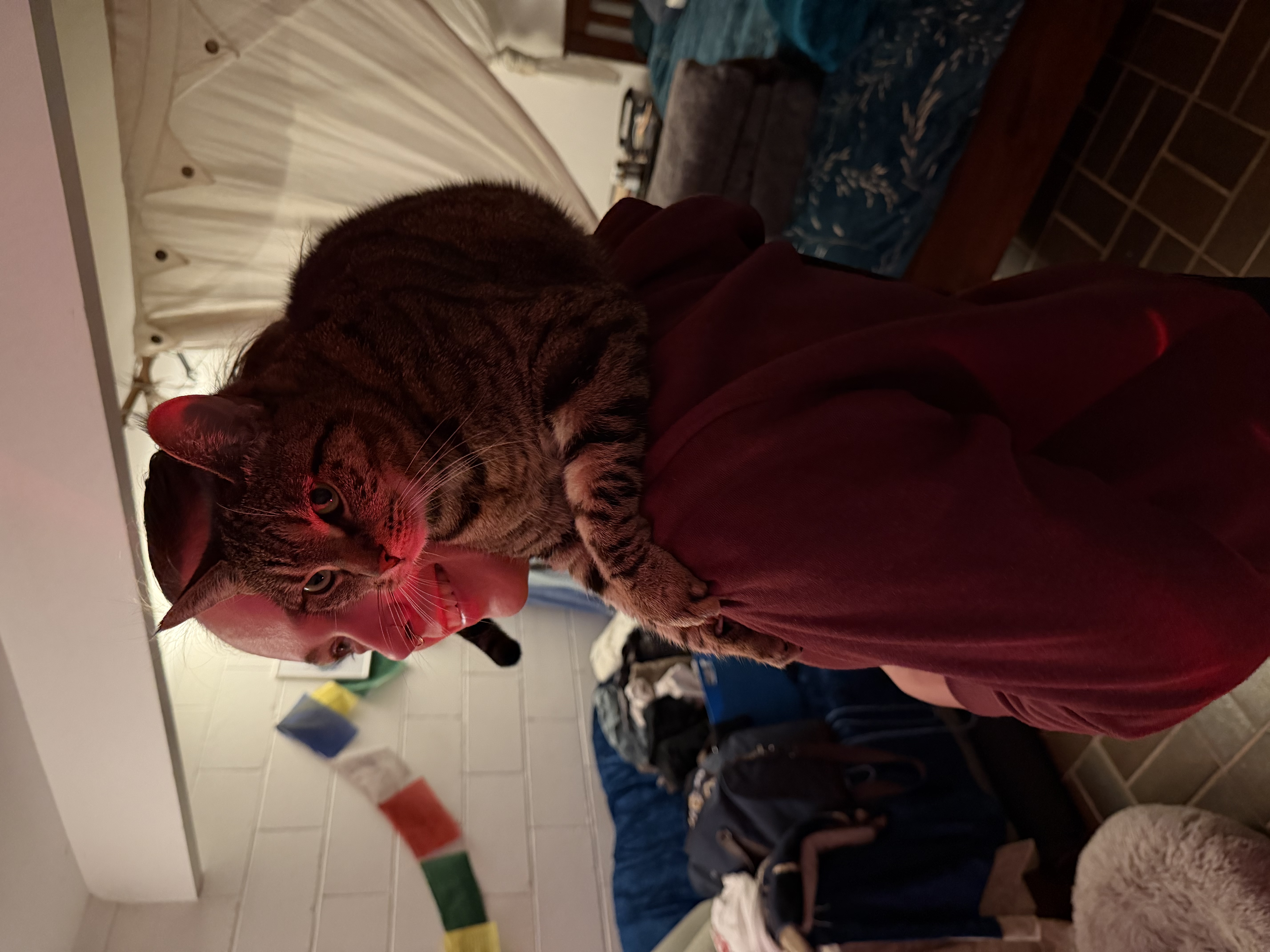image-12