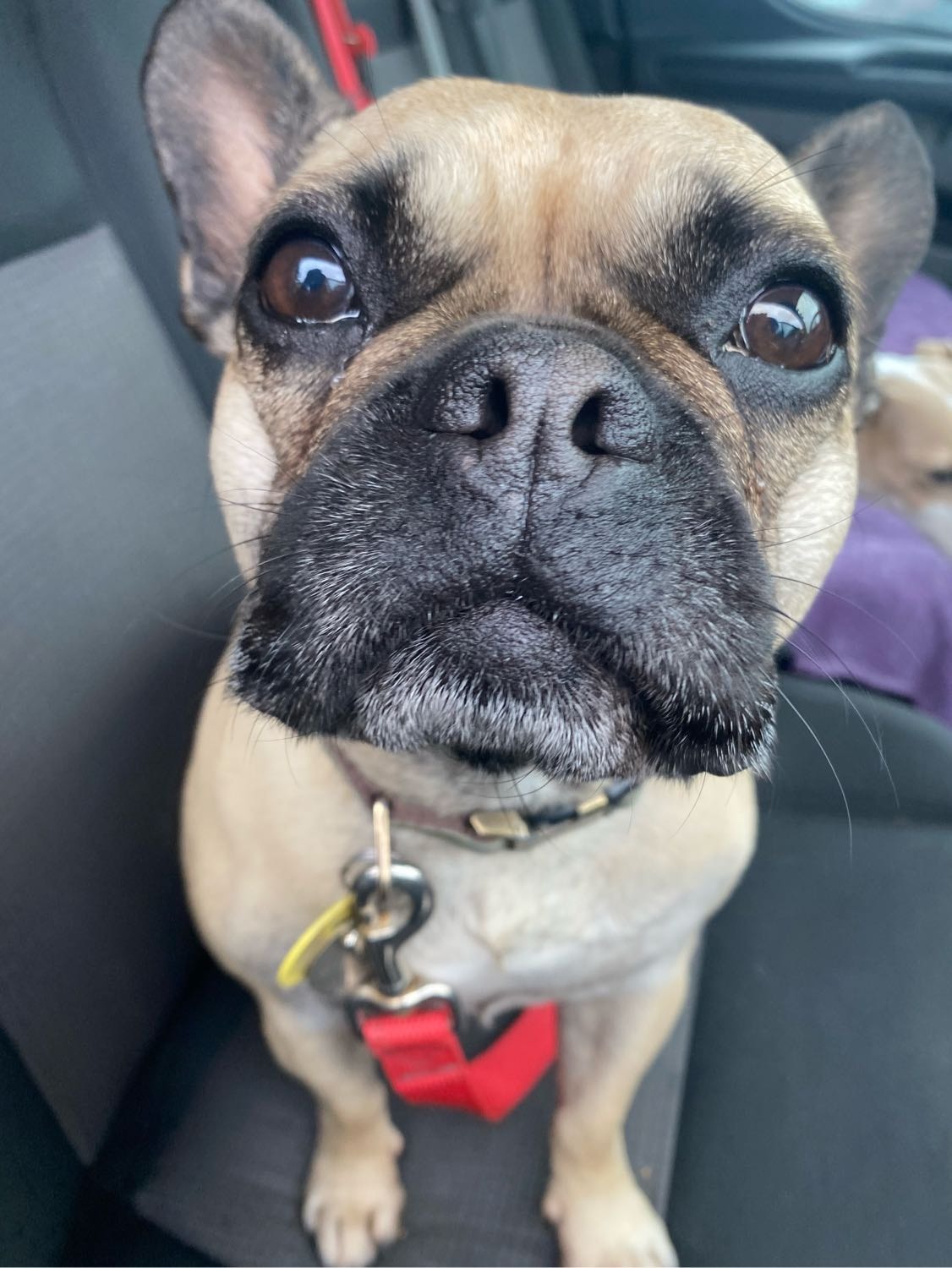 image-29