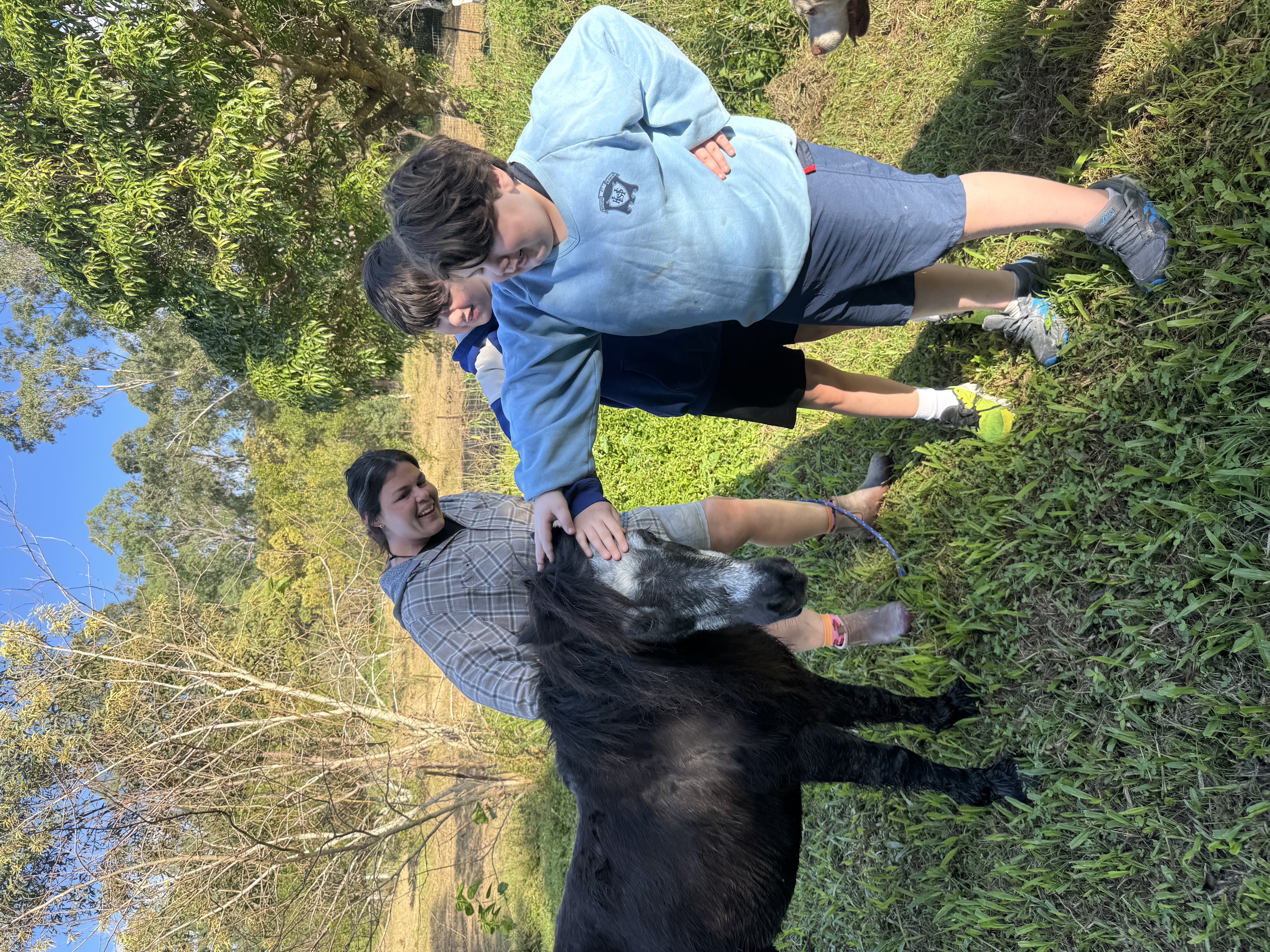 image-9
