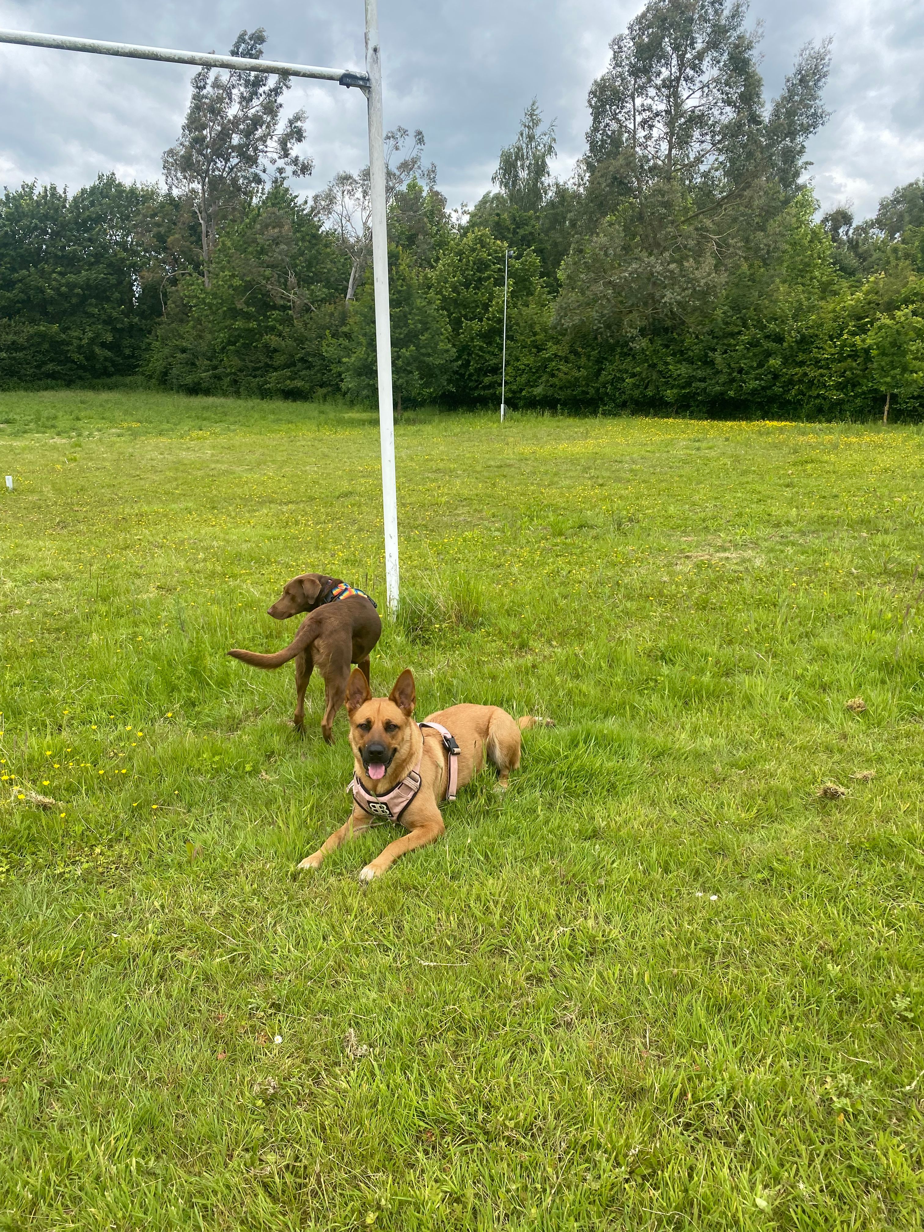 image-13