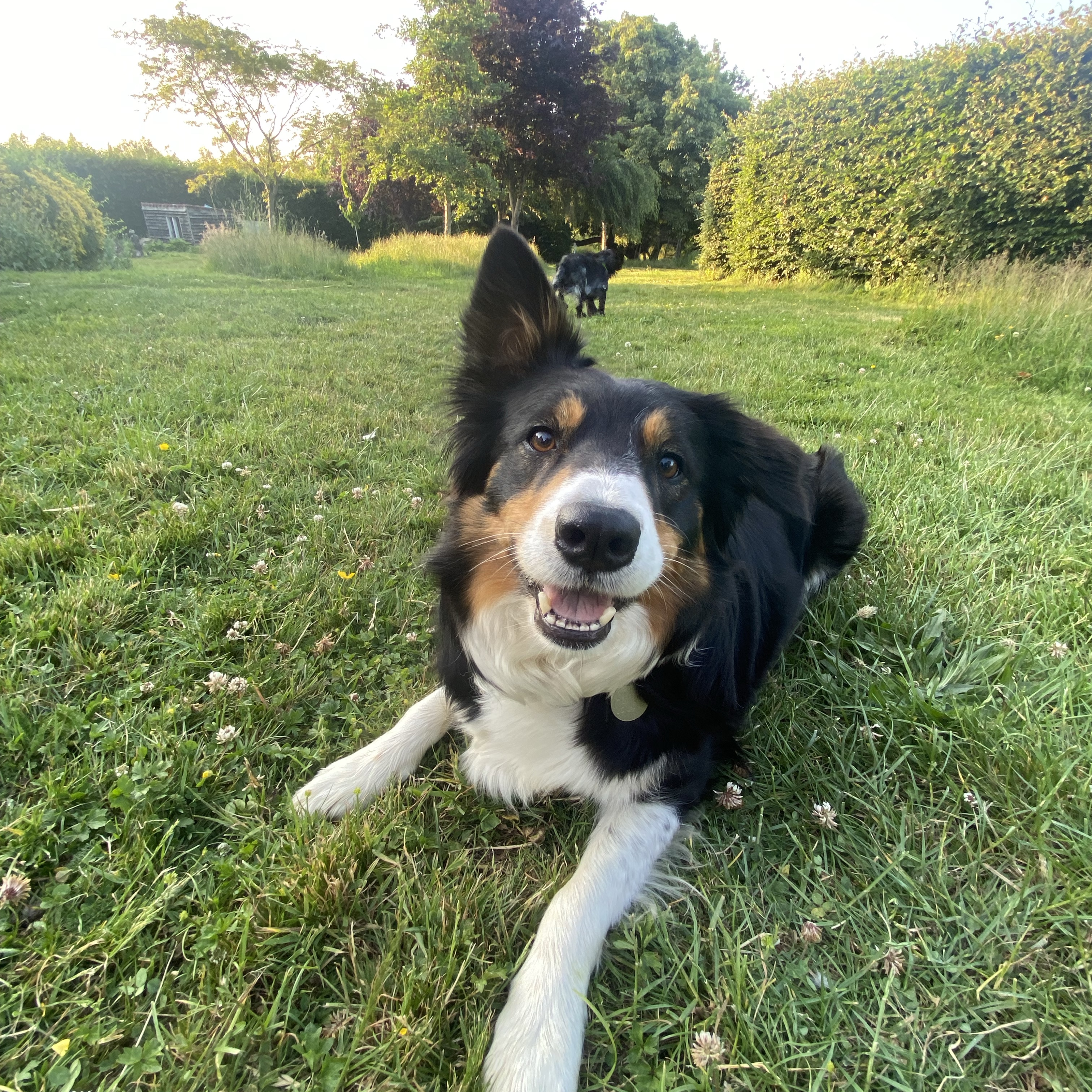 Luna (Lives with my parents in the UK)