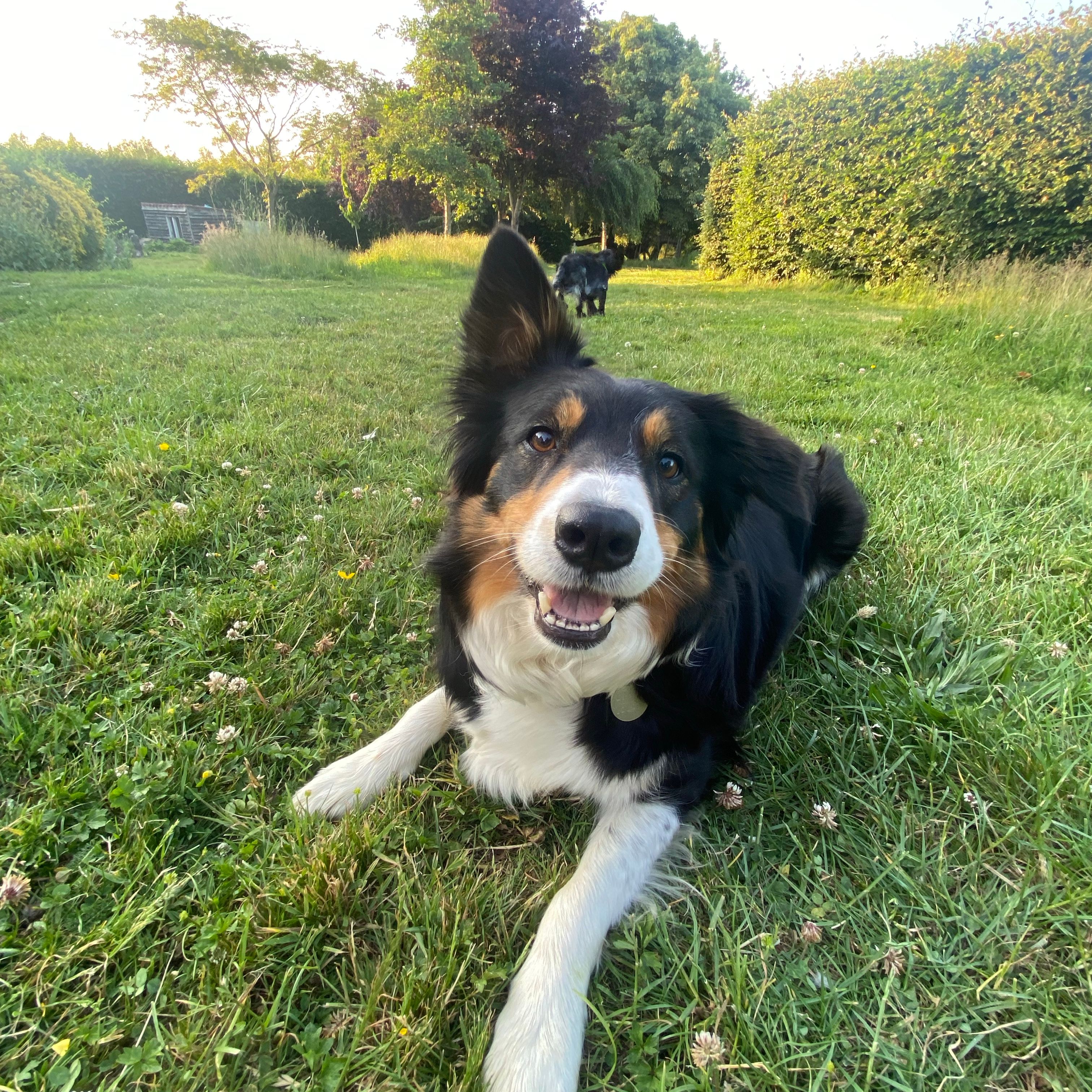 Luna (Lives with my parents in the UK)