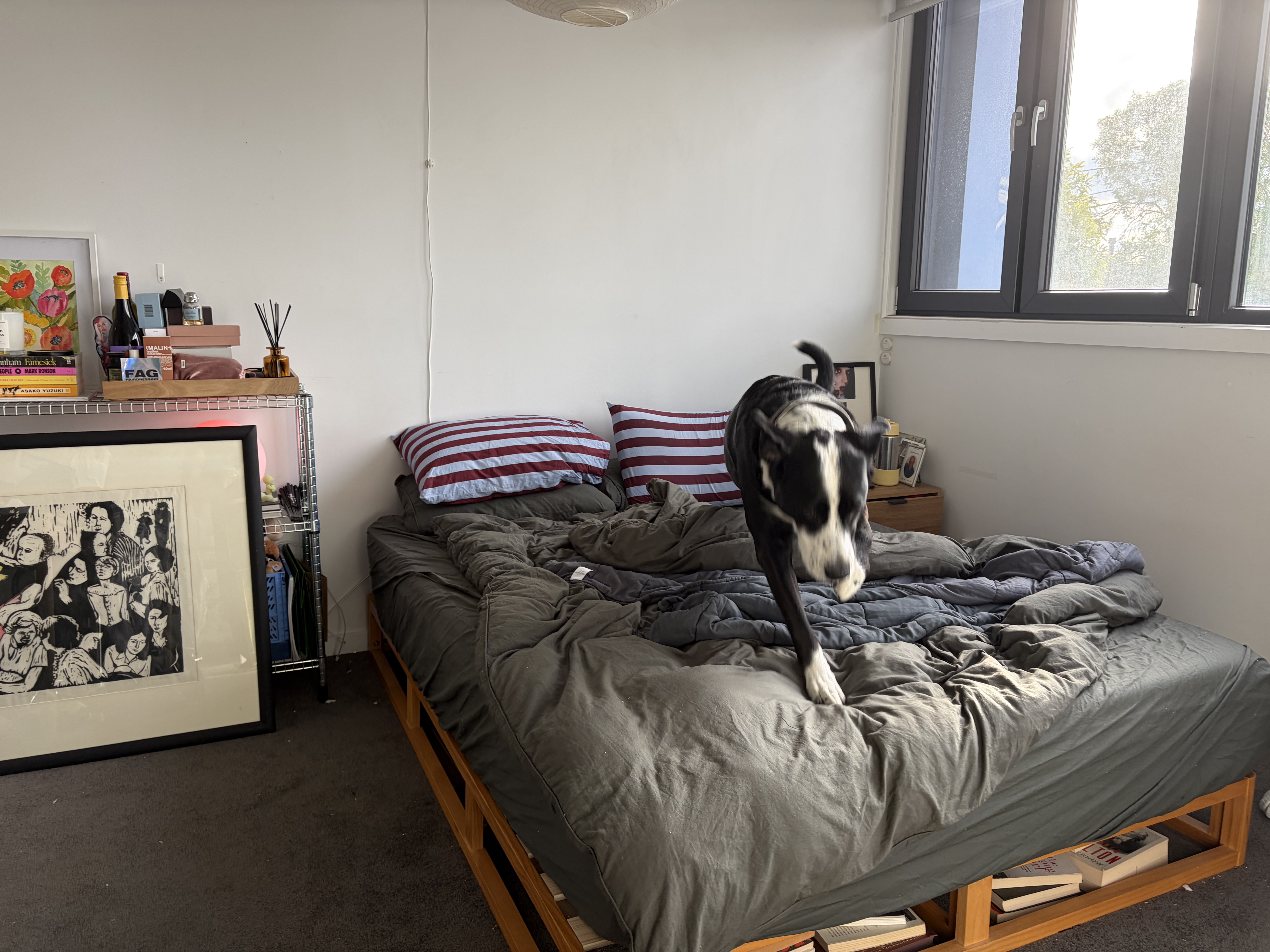 image-17