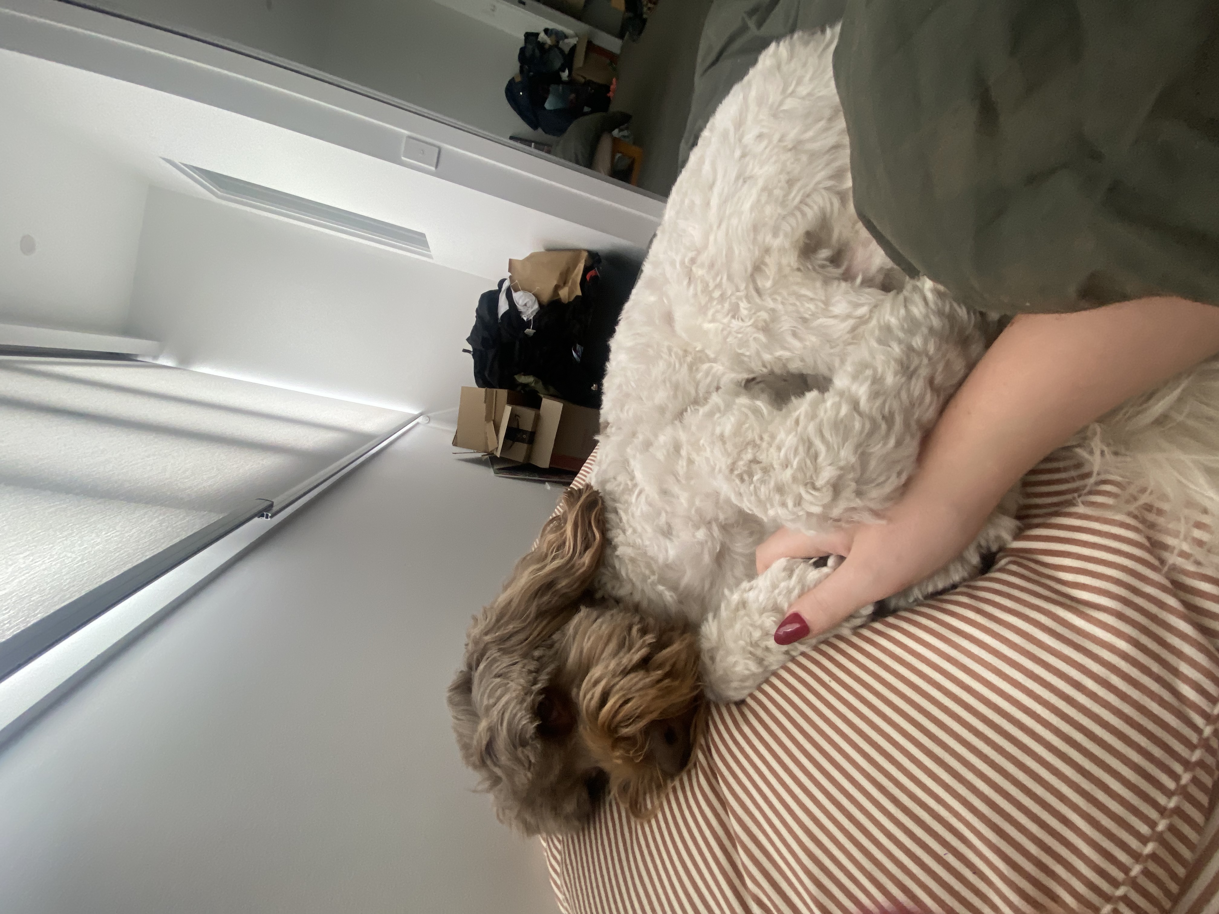 image-10
