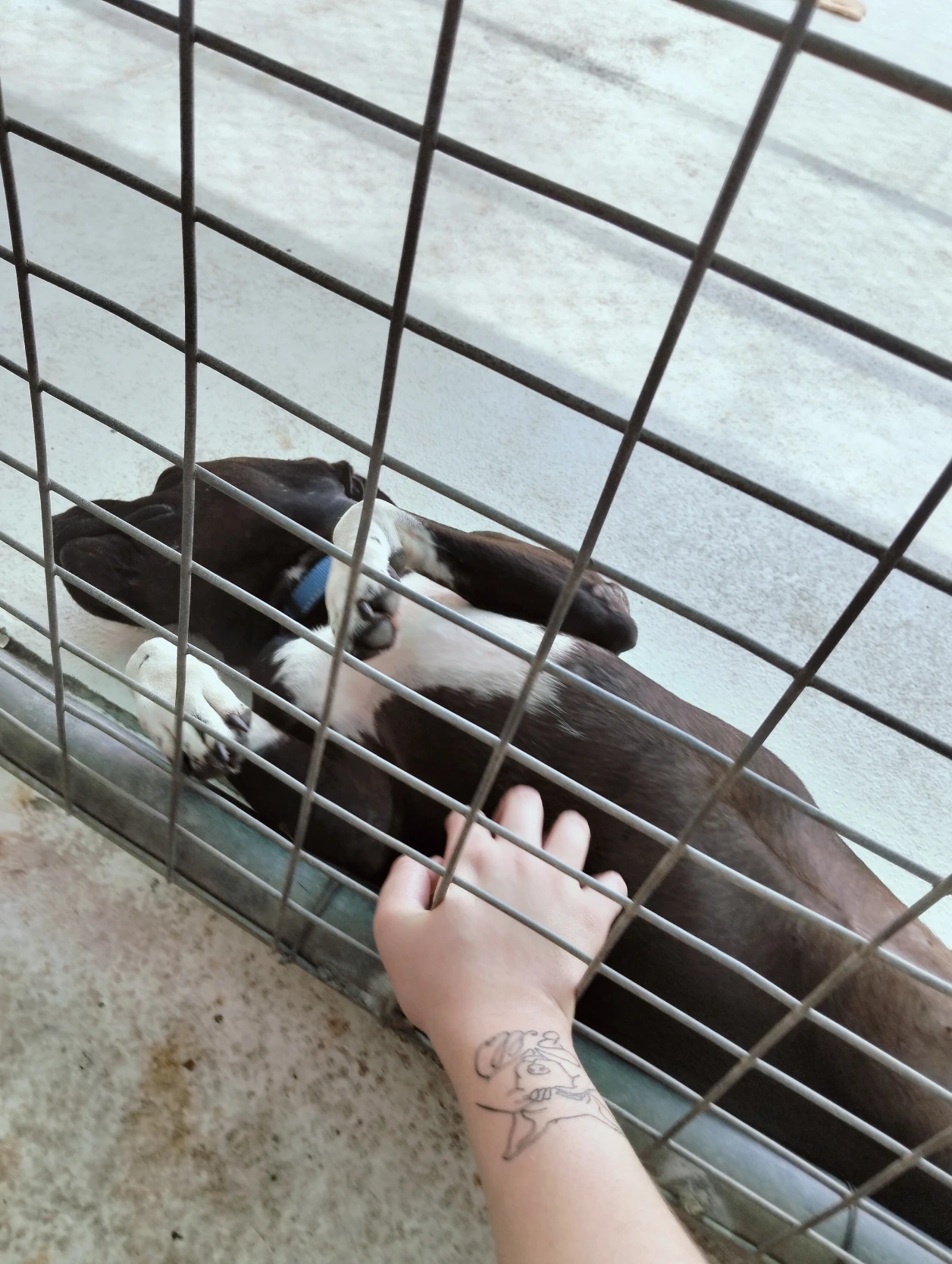 image-7