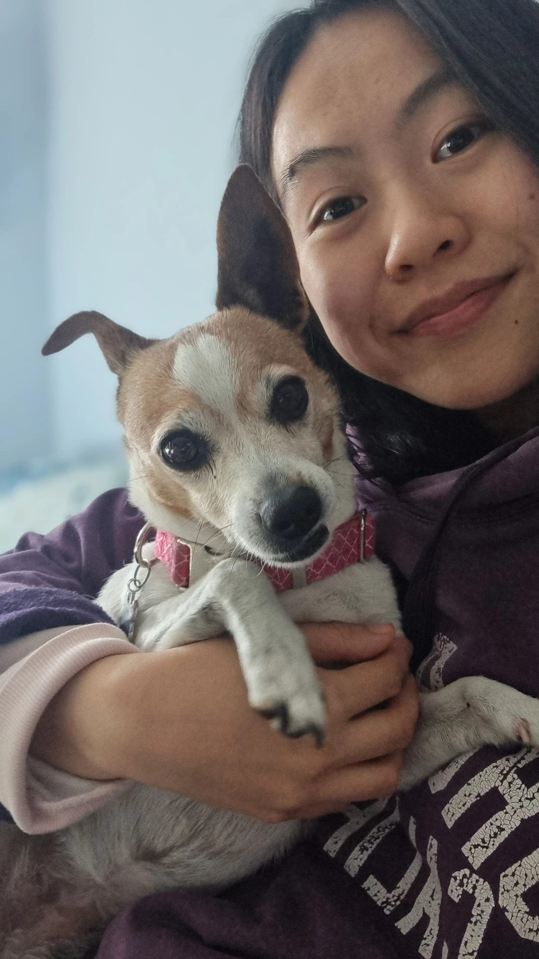 image-16