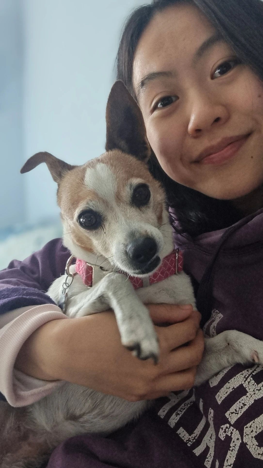image-16