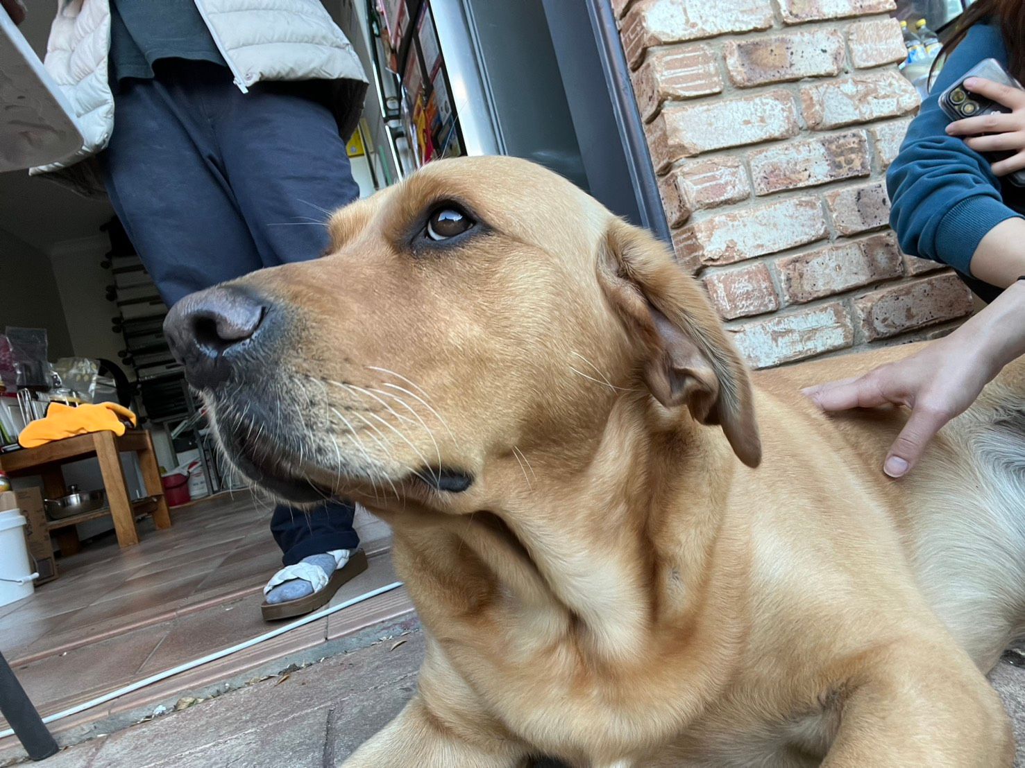 image-10