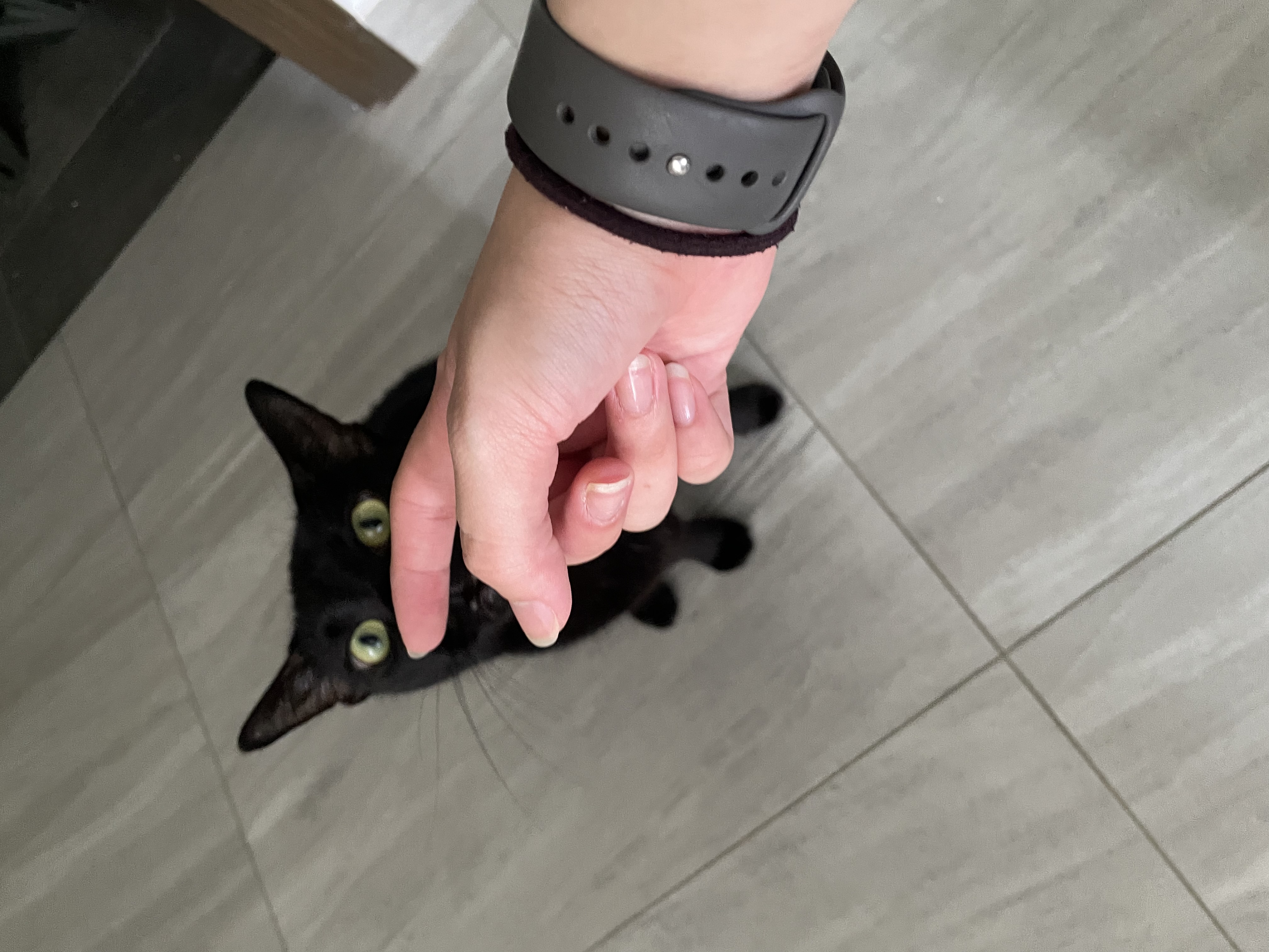 image-8