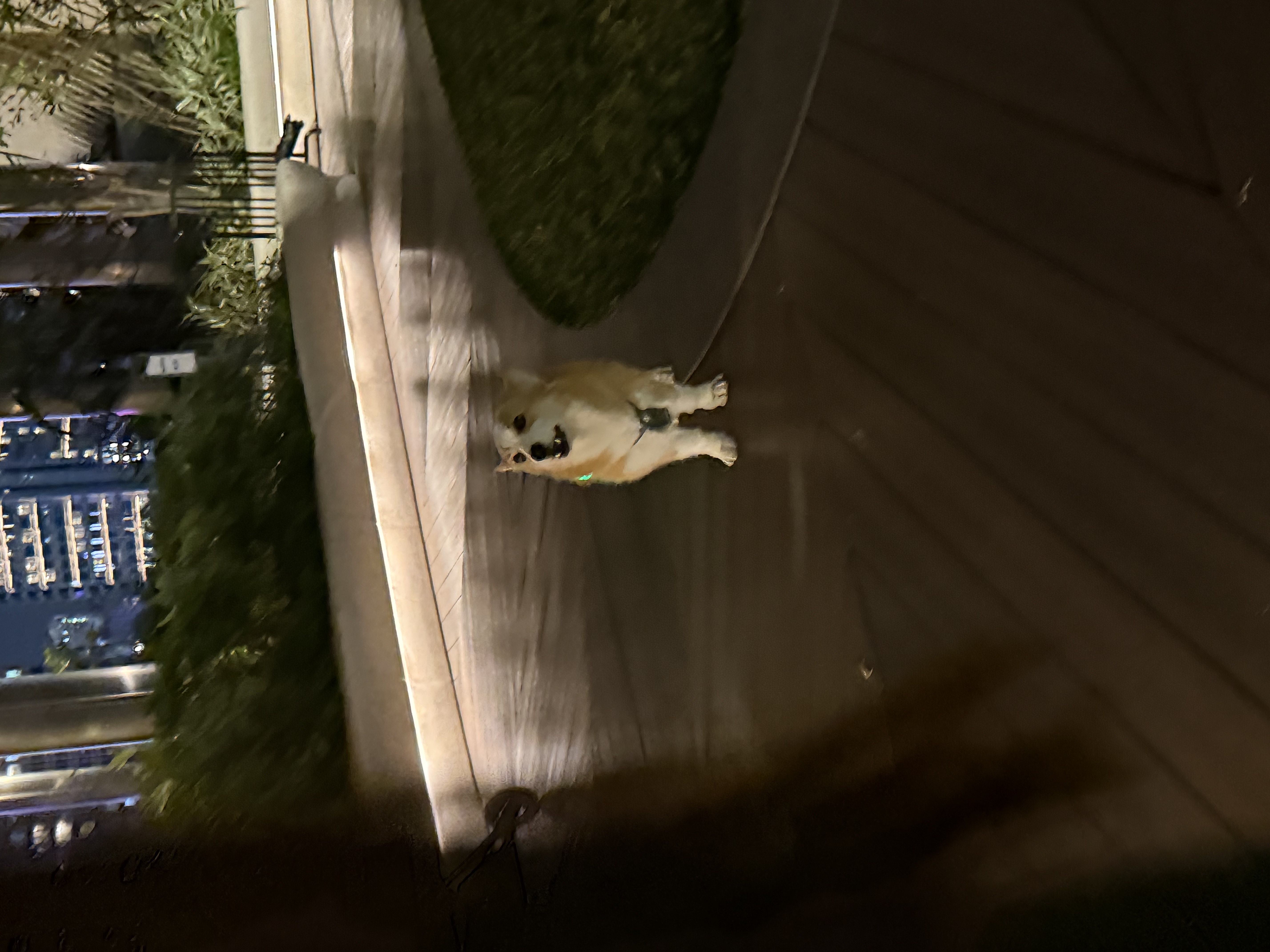 image-3