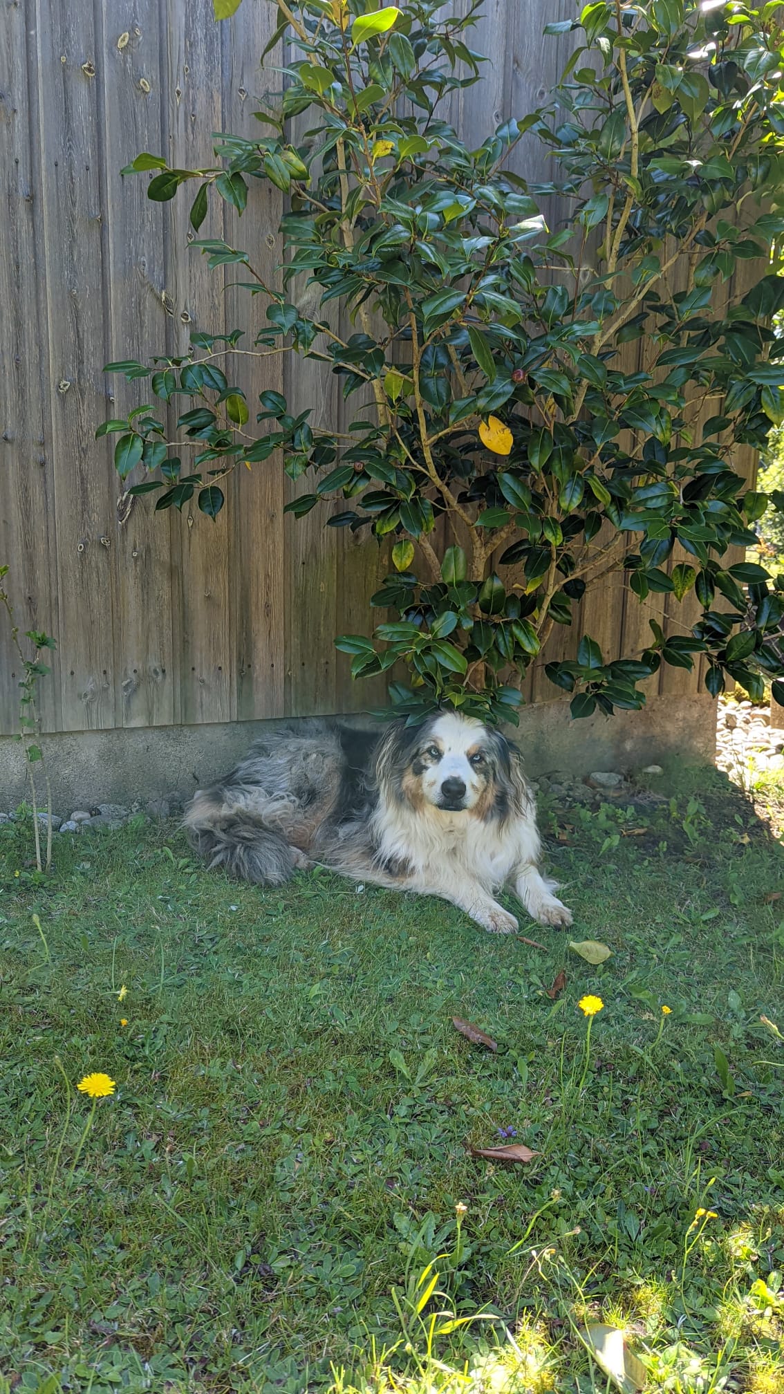 image-5